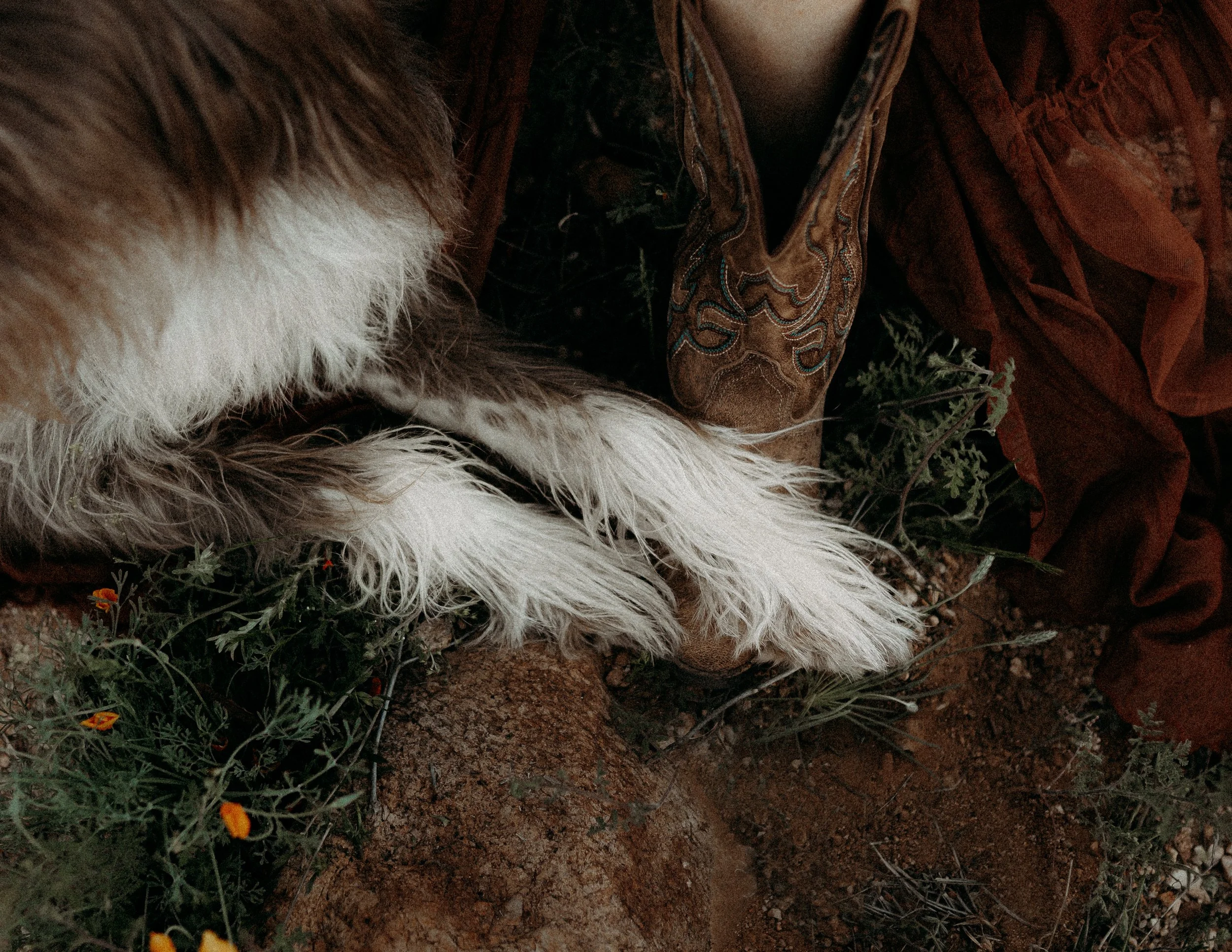 Close-up of the fur of an animal with white and brown fur, lying on the ground among small plants and flowers.