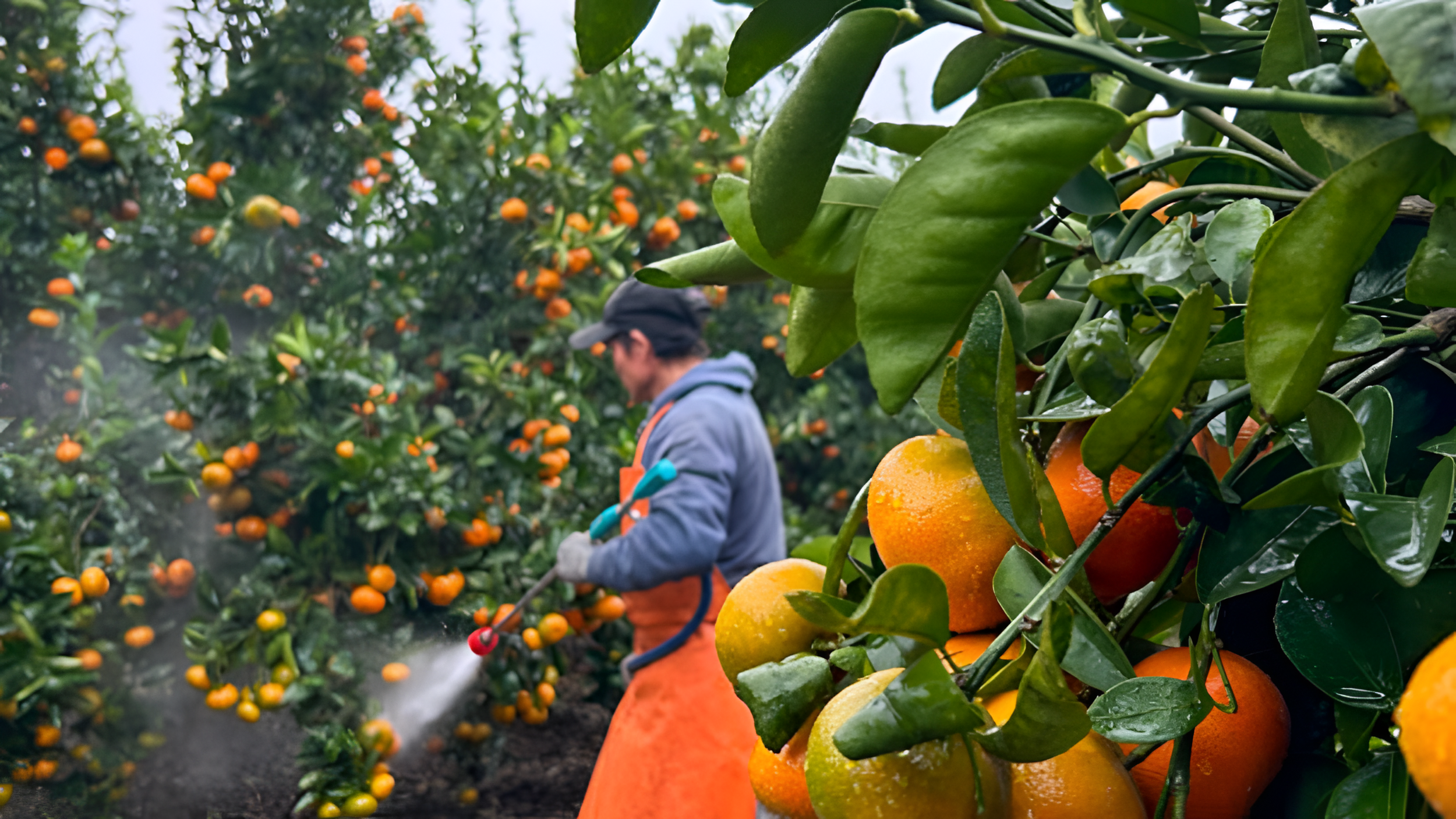 Why We Invested in BNS | Latin America’s next breakout biotech turning agricultural waste into crop protection