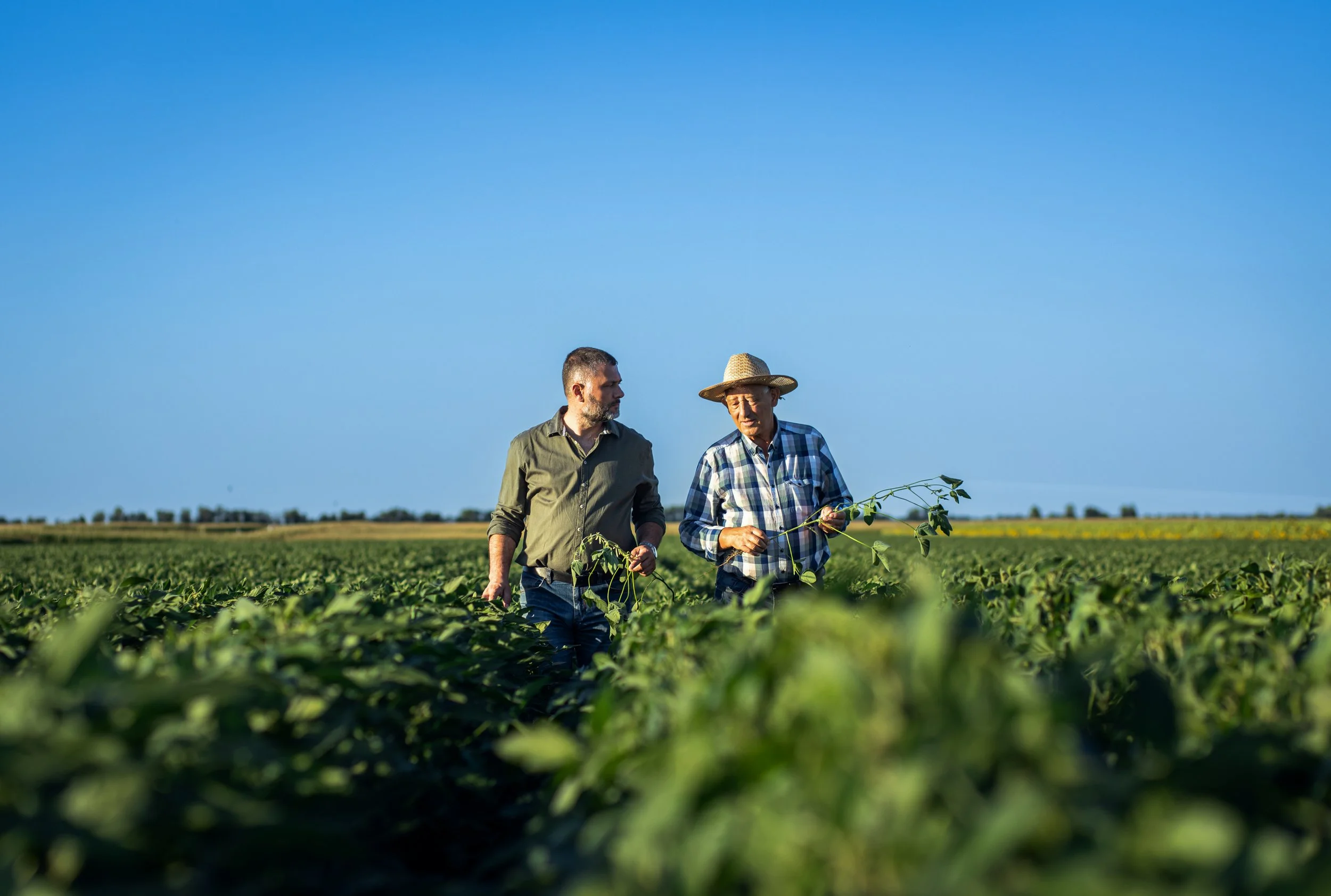 Biostimulants &amp; Biopesticides: Unlocking the Next Frontier in Sustainable Agriculture