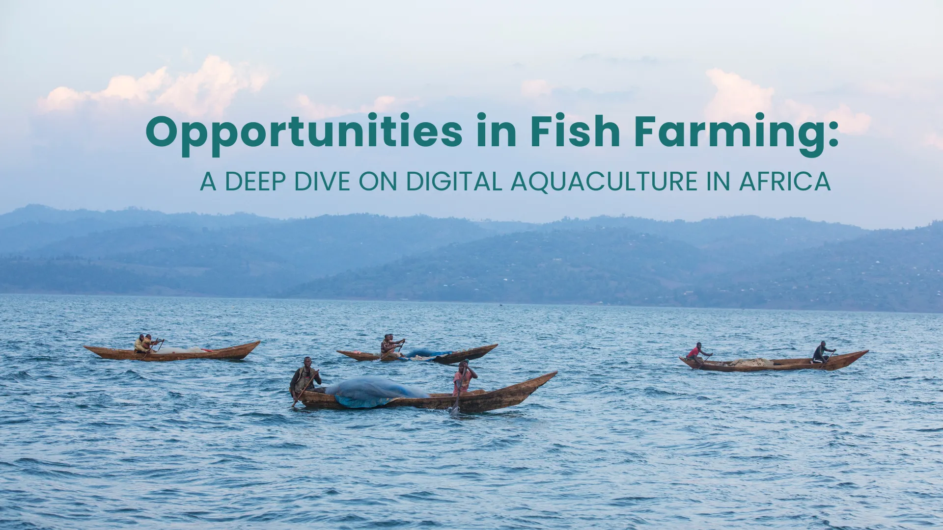 Opportunities in Fish Farming: A Deep Dive on Digital Aquaculture in Africa