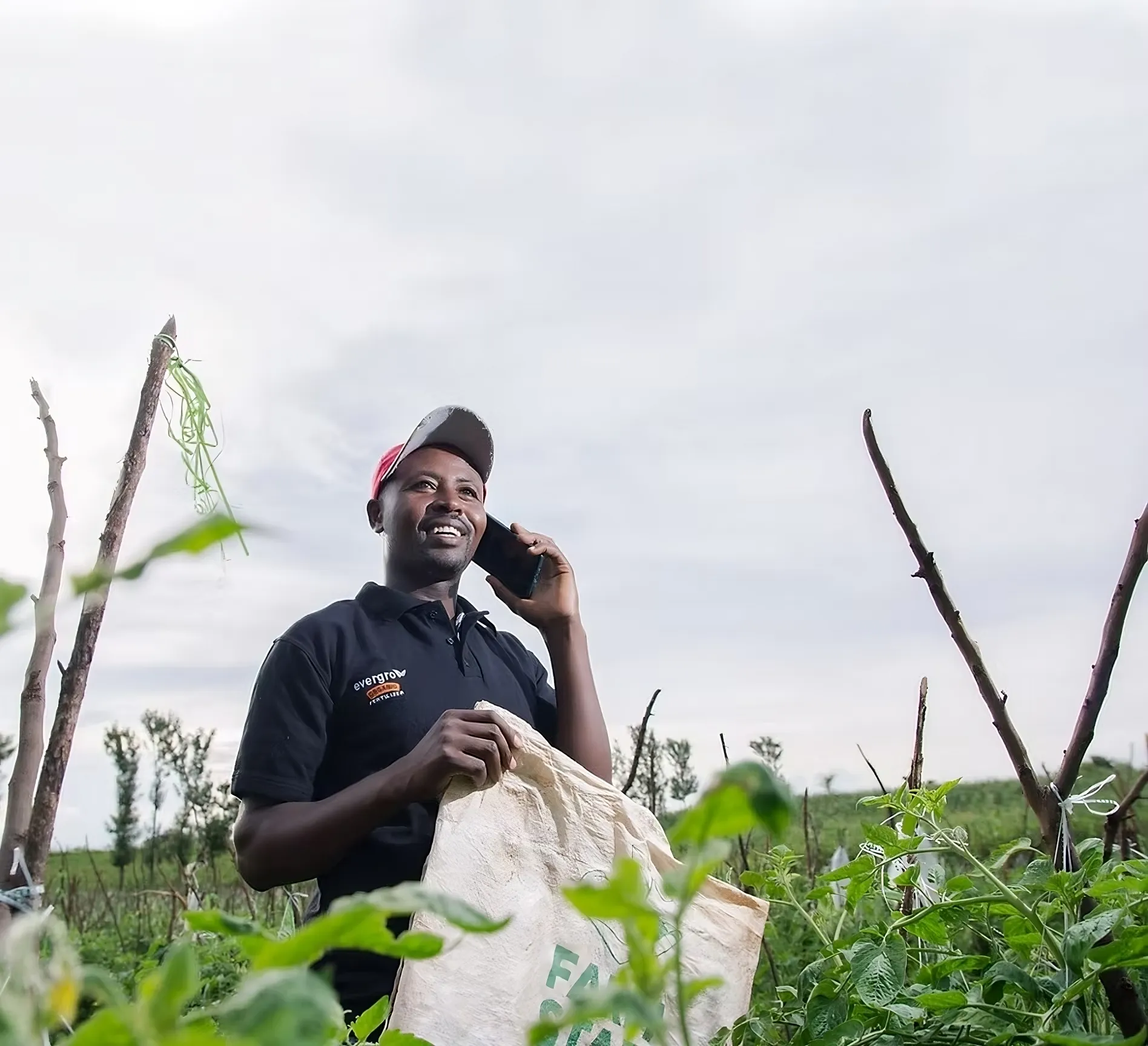 Pilot Insights | Farmstar: Driving Regenerative Agriculture through web3 