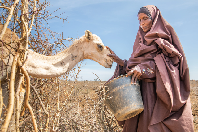 Pilot Launch | Anticipatory Cash Transfers for Climate Shocks in the Horn of Africa