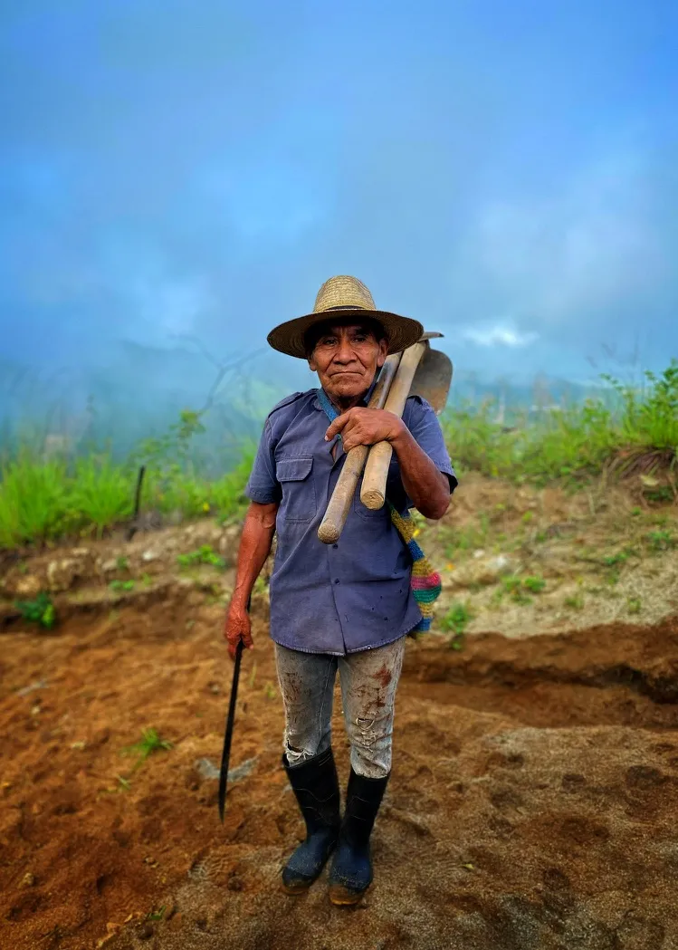 Pilot Launch | MiCRO: Boosting Smallholder Resilience through Enhanced Parametric Insurance in Guatemala