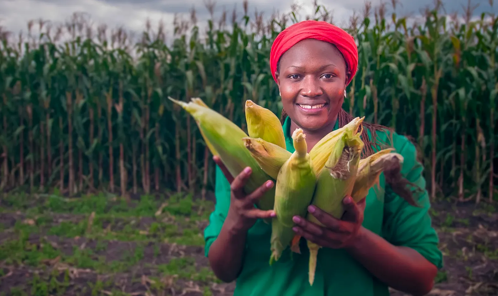 Pilot Launch | Farm Star: Driving Adoption of Regenerative Agriculture with Web3-enabled Reward Tokens