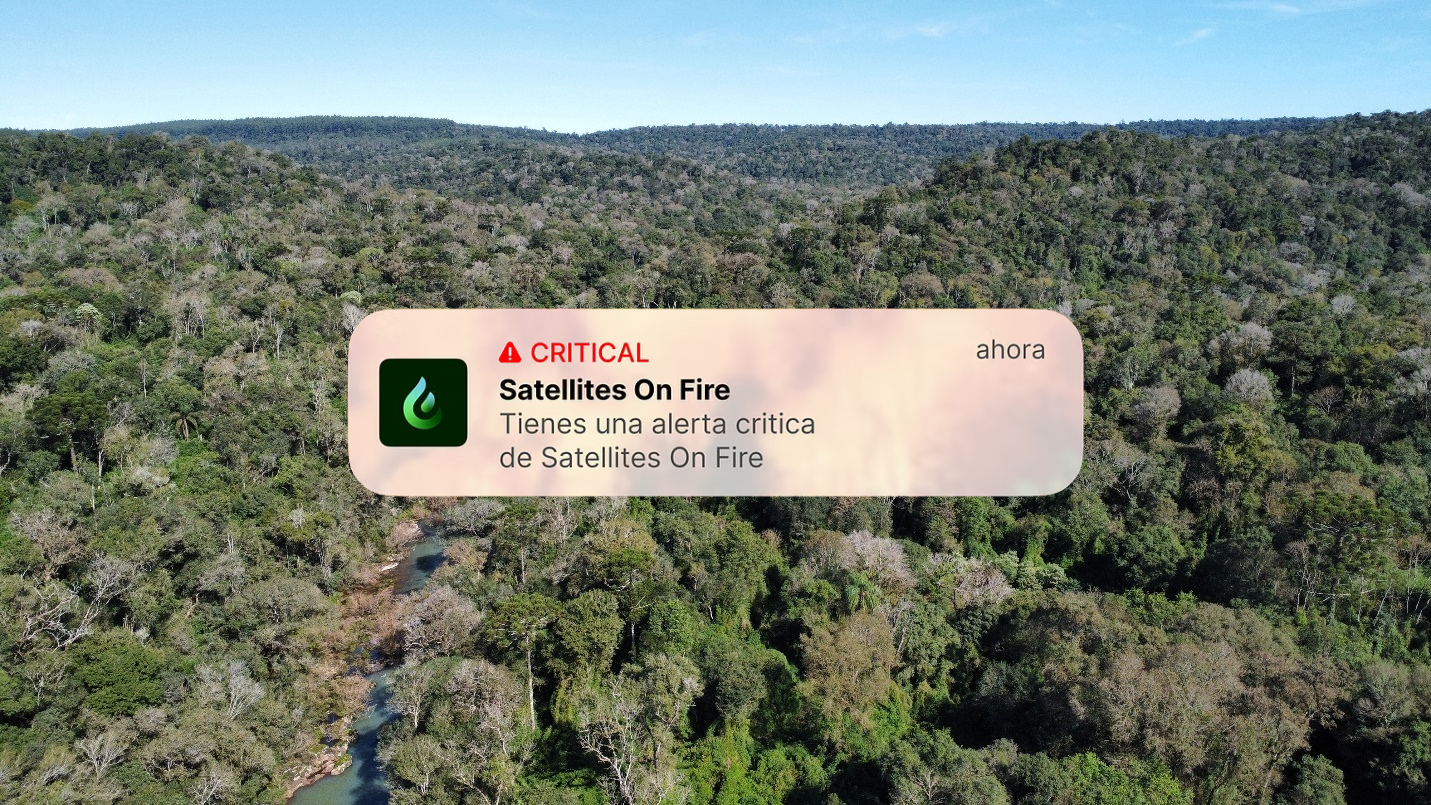 Pilot Launch | Satellites On Fire: Using the Power of AI to Prevent and Predict Wildfires