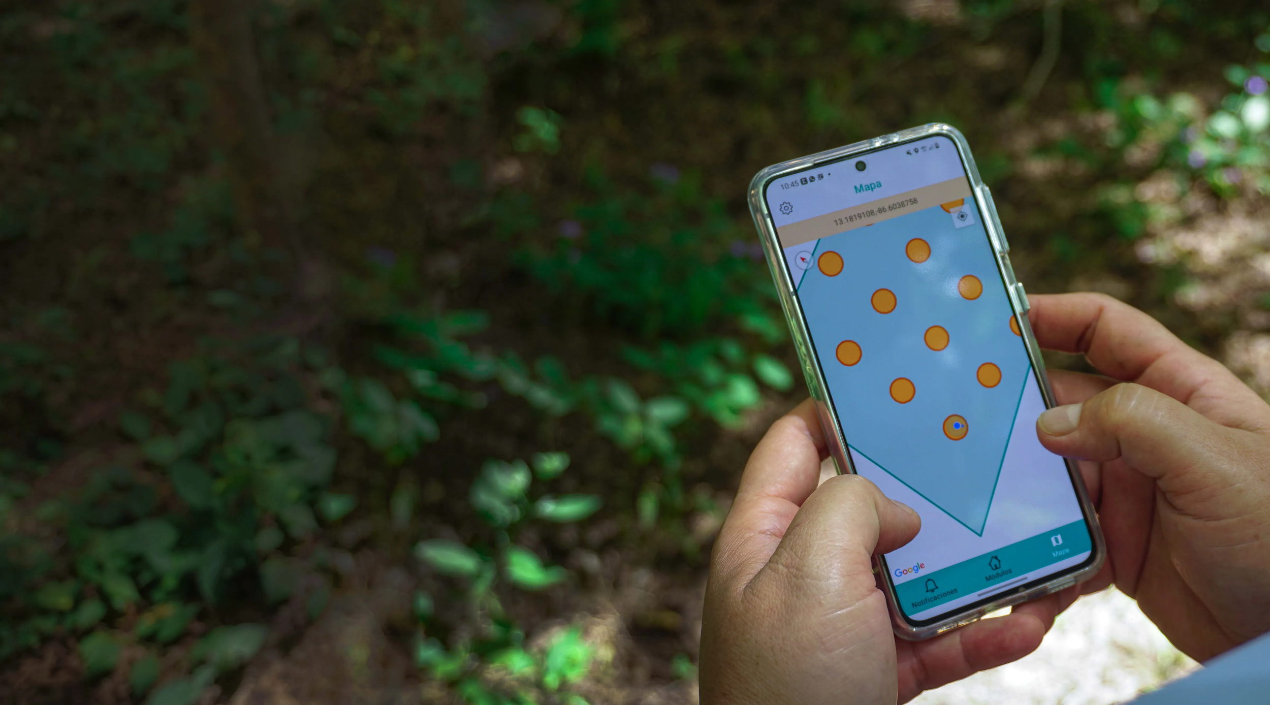 Pilot Launch | Taking Root: Scaling resilient agroforestry for smallholder farmers with AI in Nicaragua