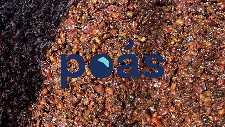 Why We Invested in Poás Bioenergy | Transforming the agricultural waste crisis into a circular and regenerative model