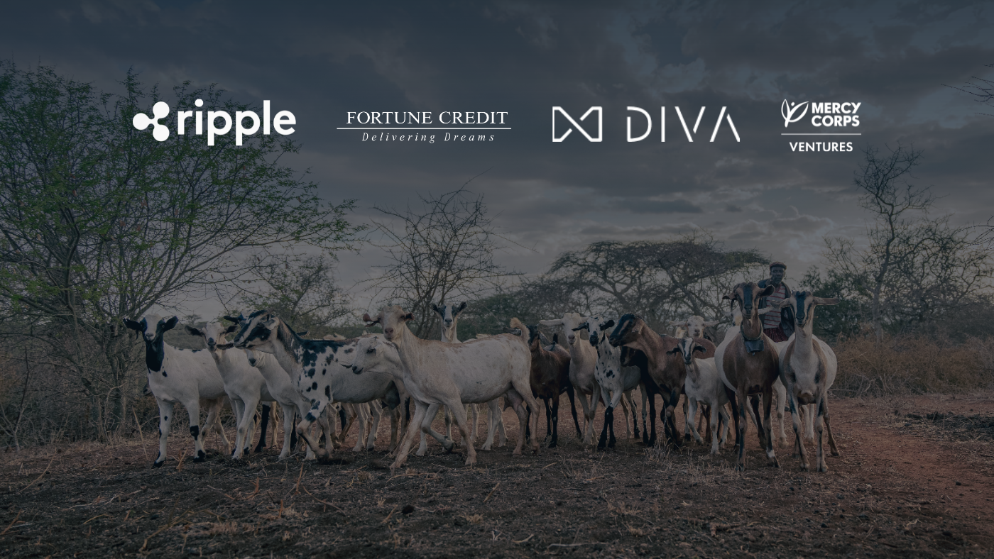 Scaling Up Anticipatory Cash Transfers Pilot in Kenya