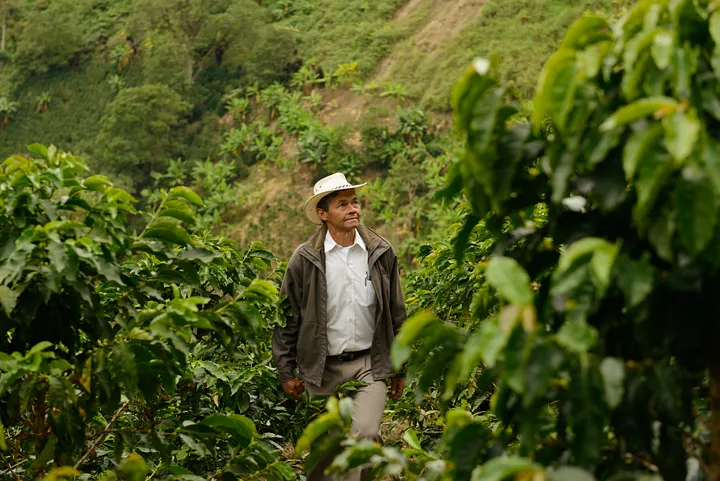 What is Web3 and how is it building a new paradigm for climate resilience?