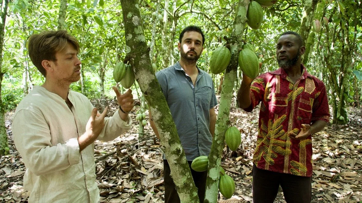 Why We Invested in Abeya | Powering traceable, regenerative trade from farm to factory&nbsp;