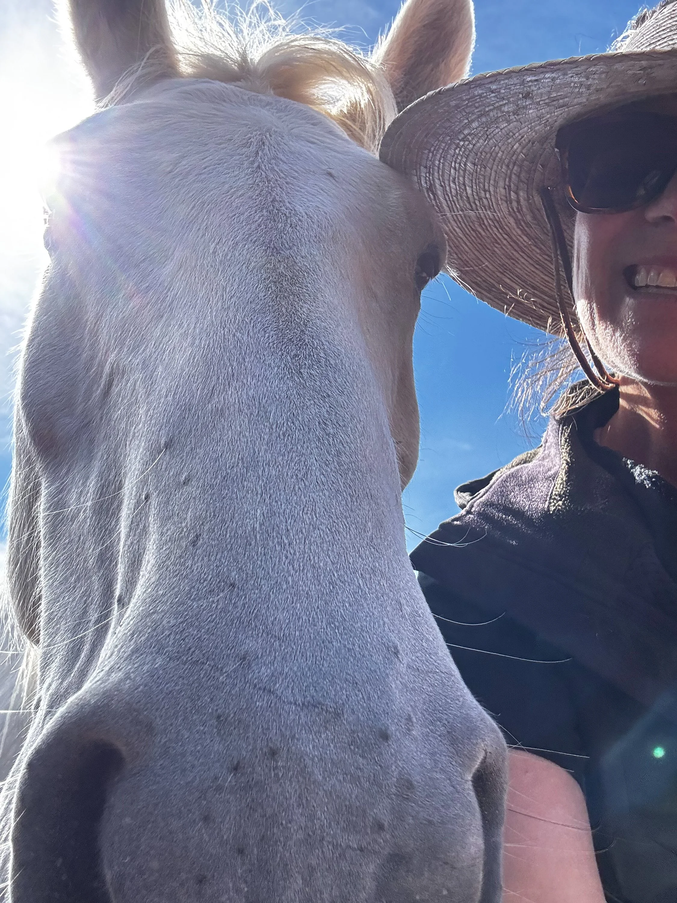 A person wearing a large straw hat with sunglasses, smiling, standing close to a white horse with a clear blue sky in the background.