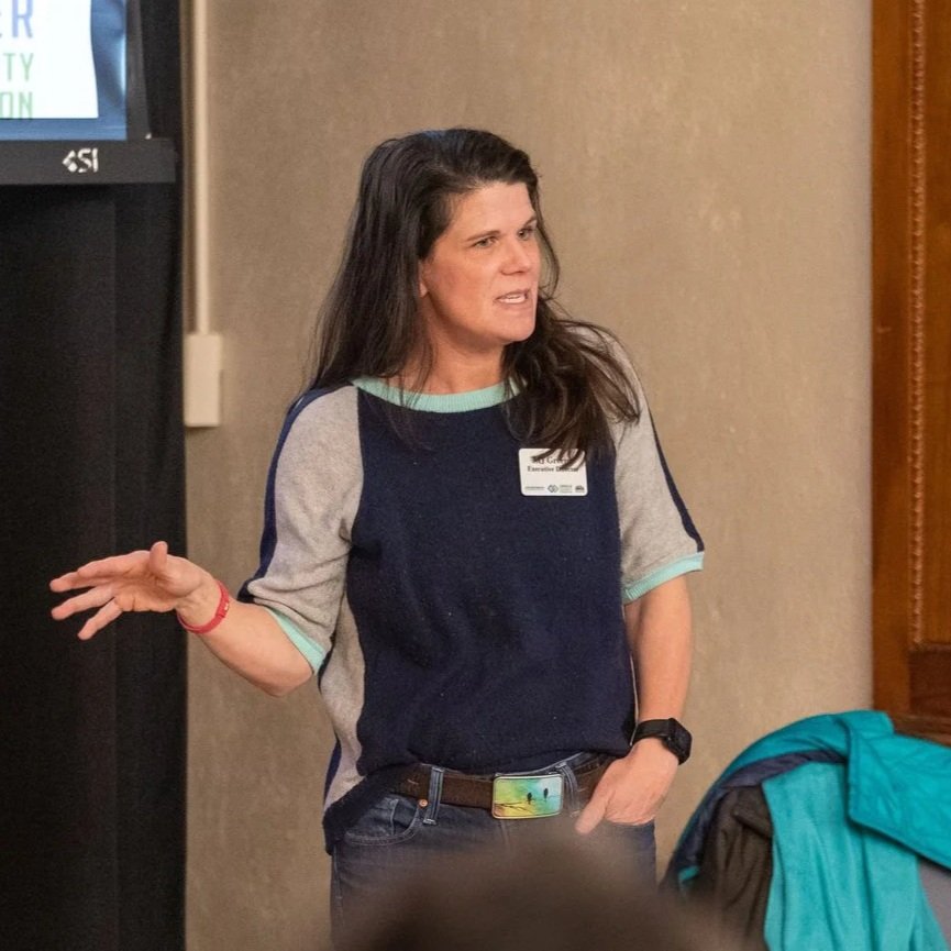 Mary MJ Greene brings experience with budgets, strategic planning, governance, fundraising, and responsible stewardship of community resources.
