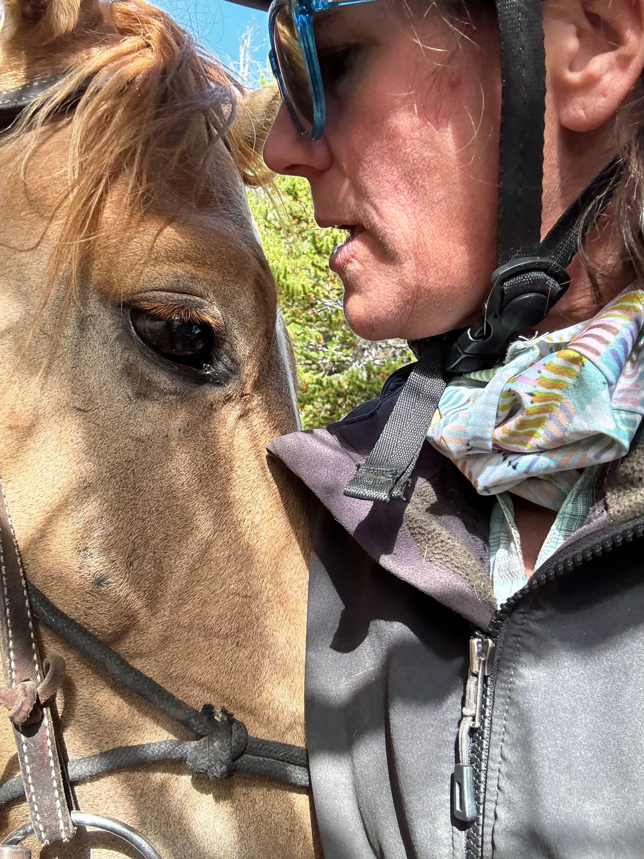 A person in a helmet and goggles is nose to nose with a horse that has a light brown coat and a darker mane, outdoors with trees and a blue sky in the background.