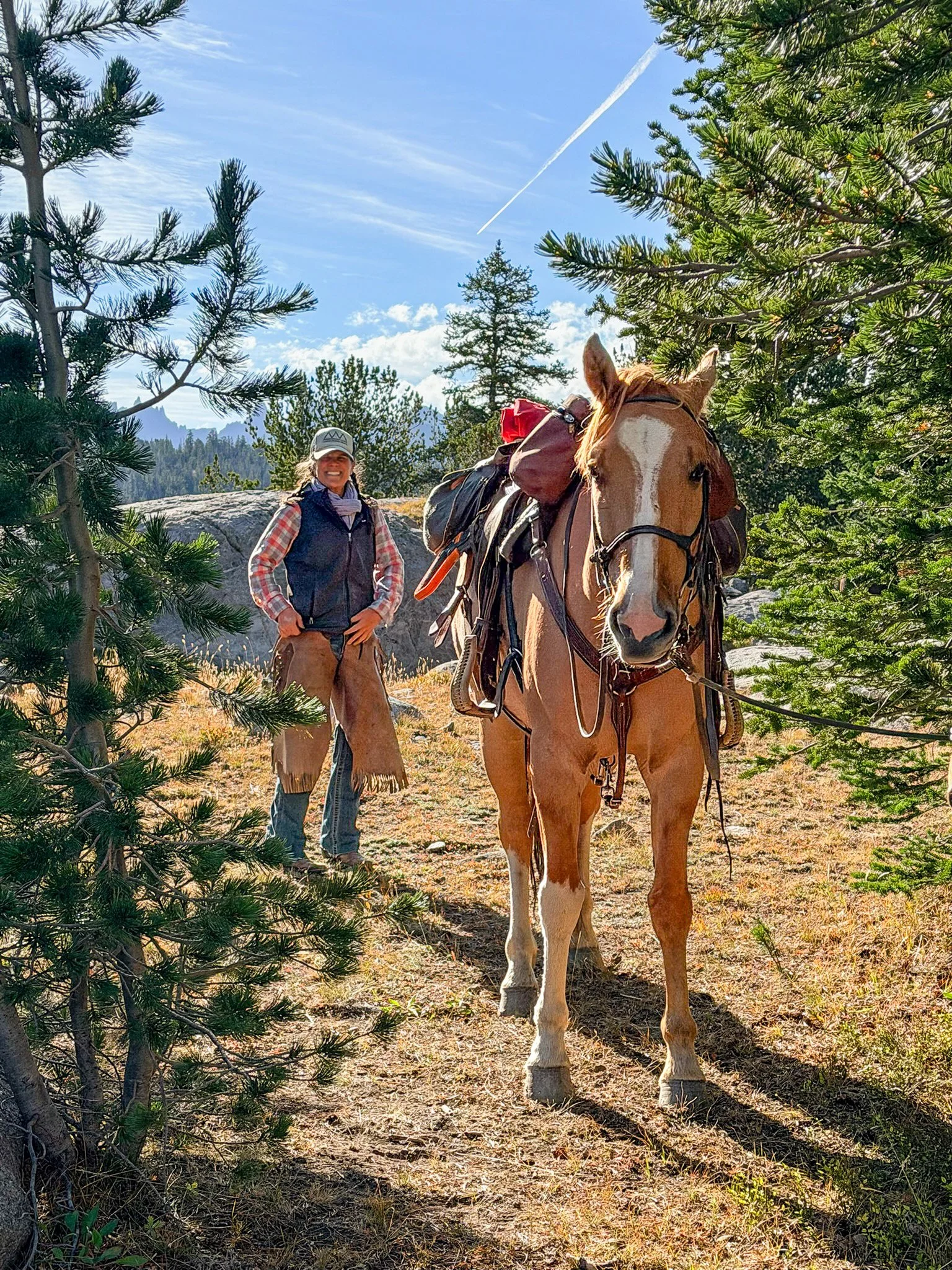 A woman standing next to a saddled horse in a forest with evergreen trees and rocky terrain under a blue sky with wispy clouds and a contrail.