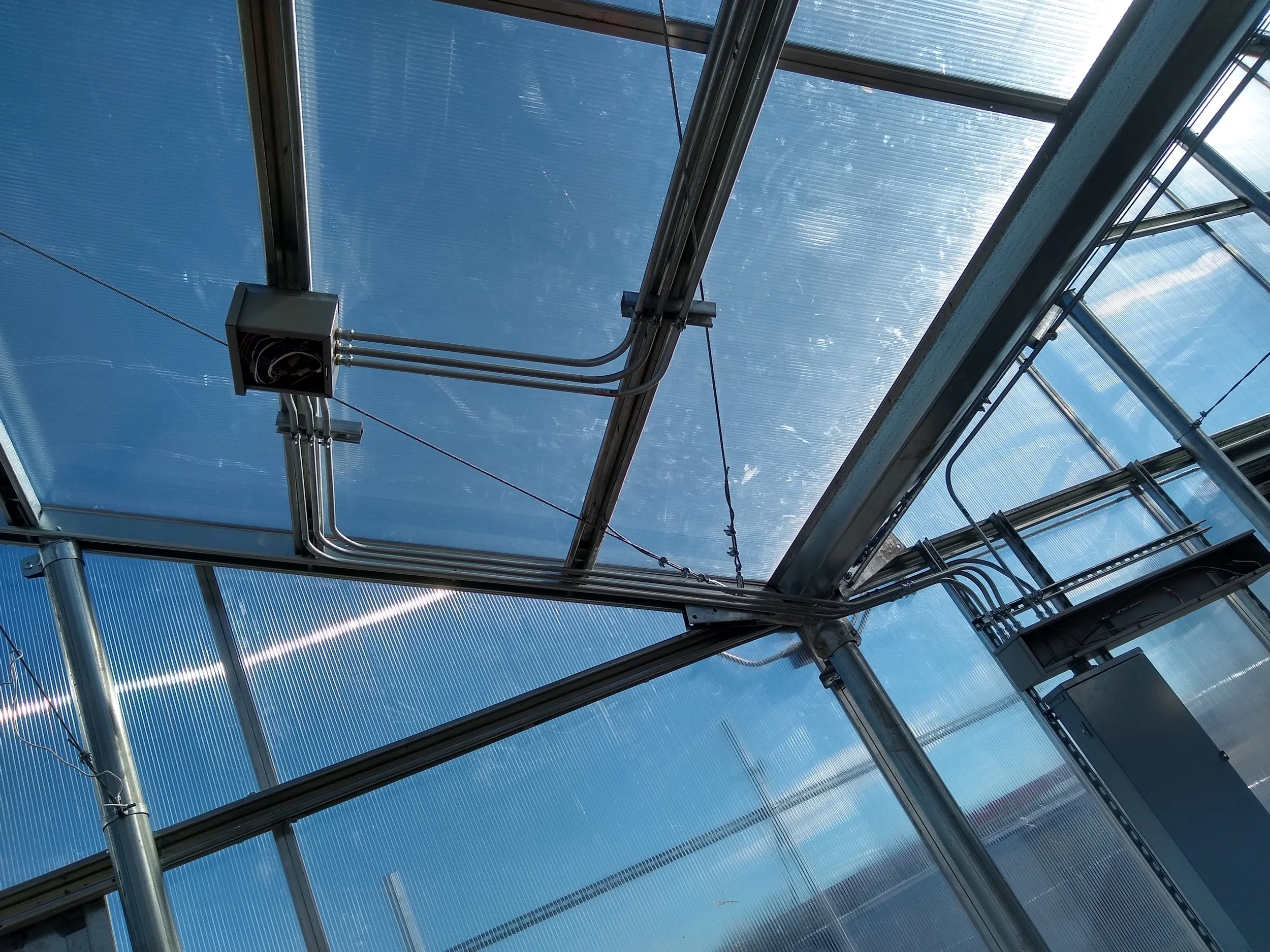 Looking up at the glass roof of a greenhouse or conservatory, with a metal framework and visible wiring or piping.