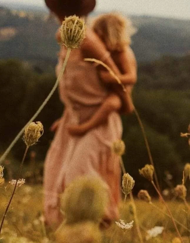 A blurred image of a person carrying a child in a rural outdoor setting with wildflowers in the foreground.