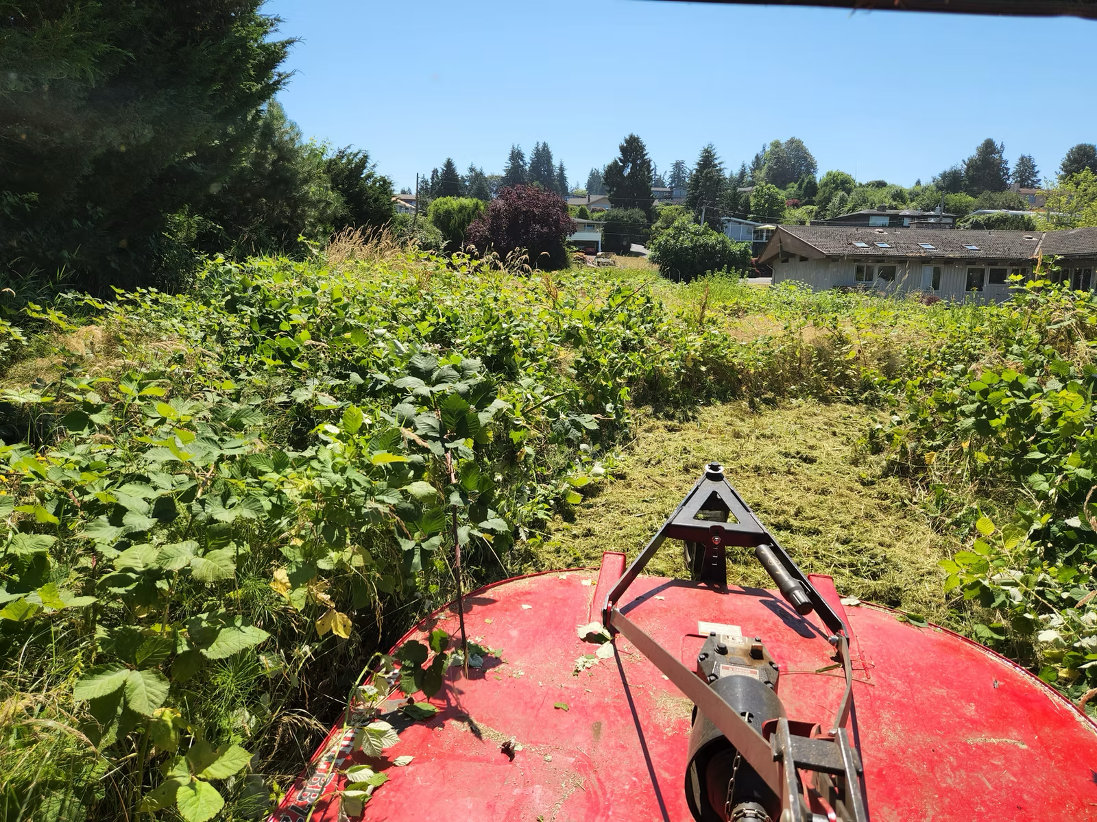 Skid Steer mows brush
