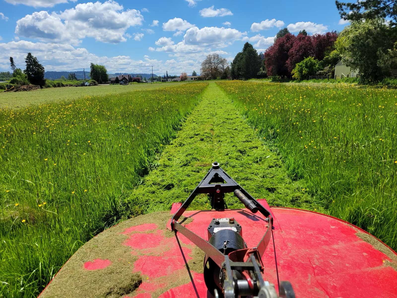 Red Machine Mows green pasture