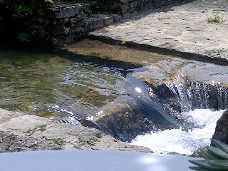IMG-20120510-01161.jpg