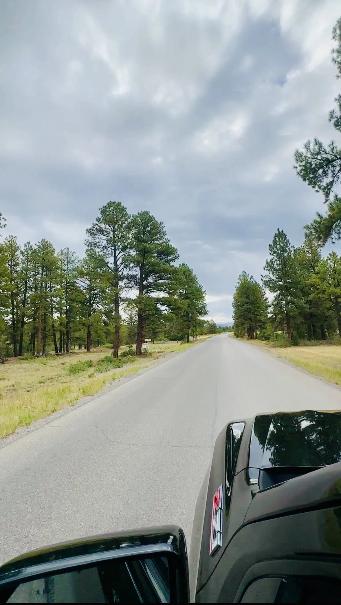 An image of a black suburban driving along a mountain road .