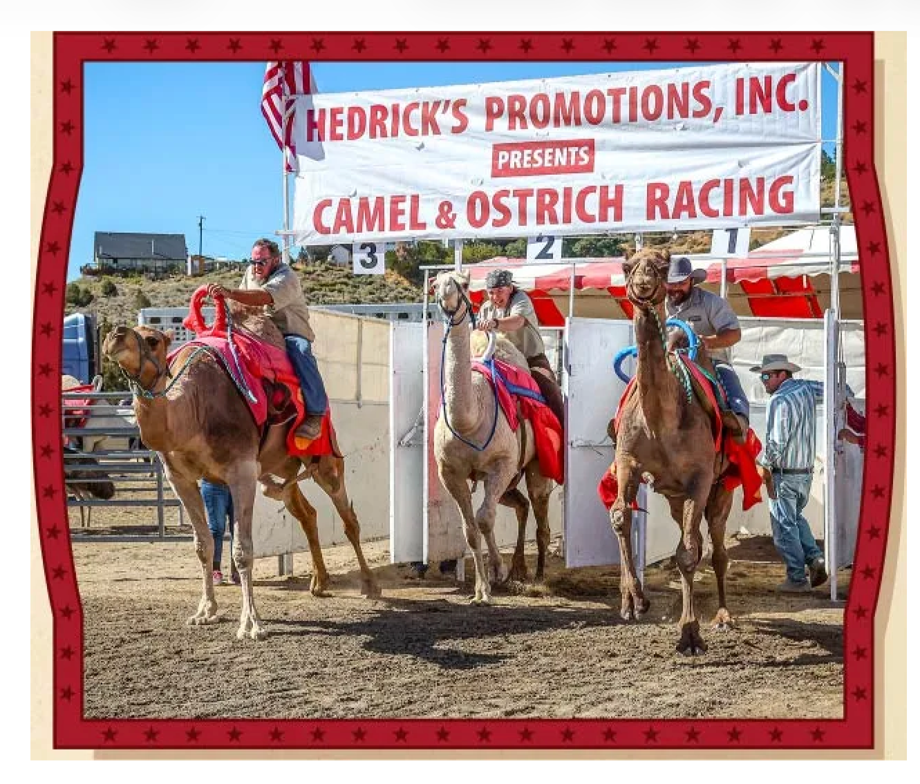 67th Annual Camel and Ostrich Races