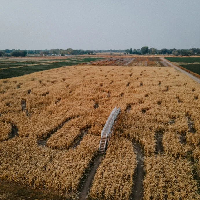 Lattin Farms Festival 