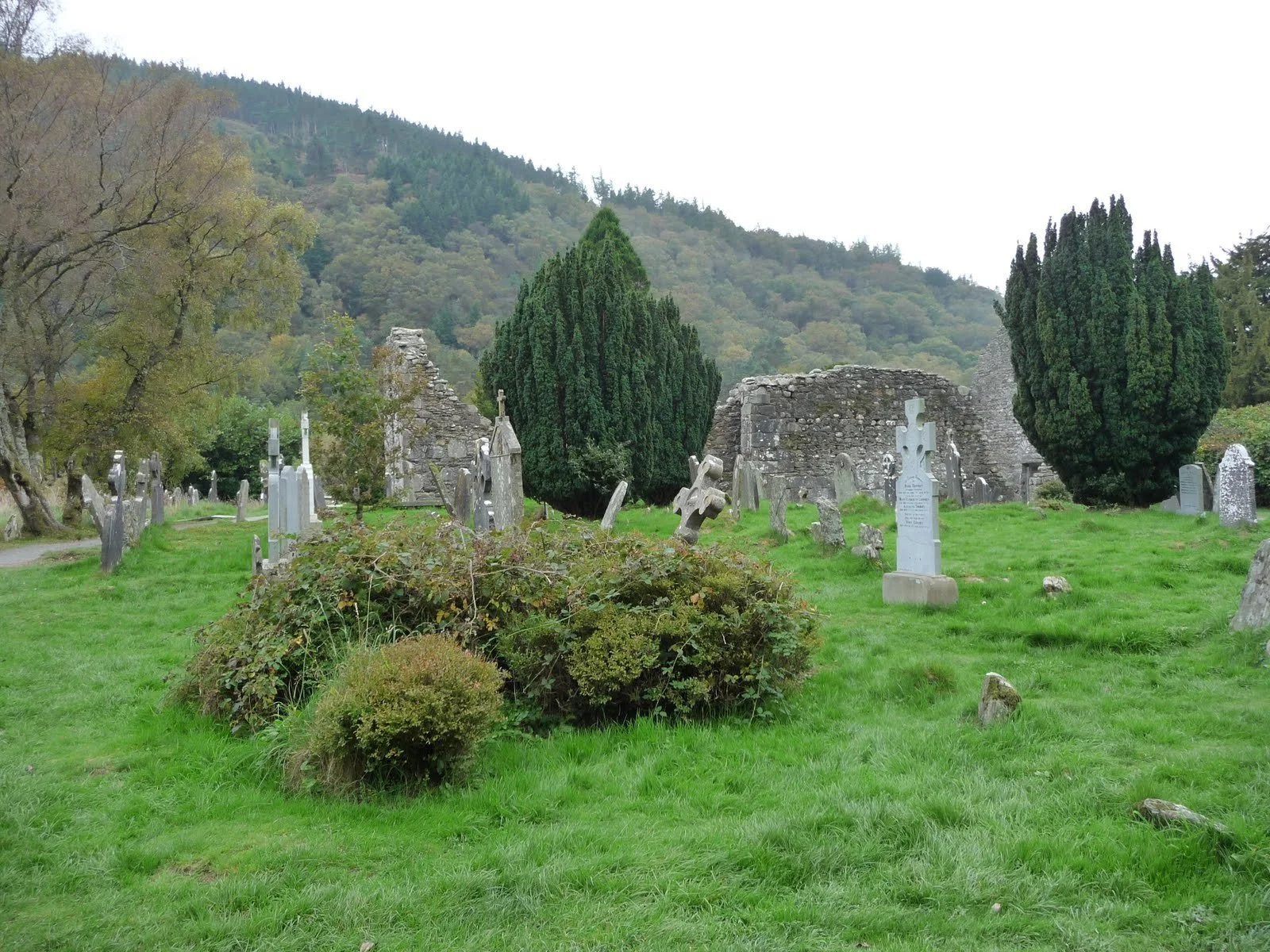 Graveyard with old tombstones in a grassy area, some with crosses, surrounded by trees and mountains in the background.