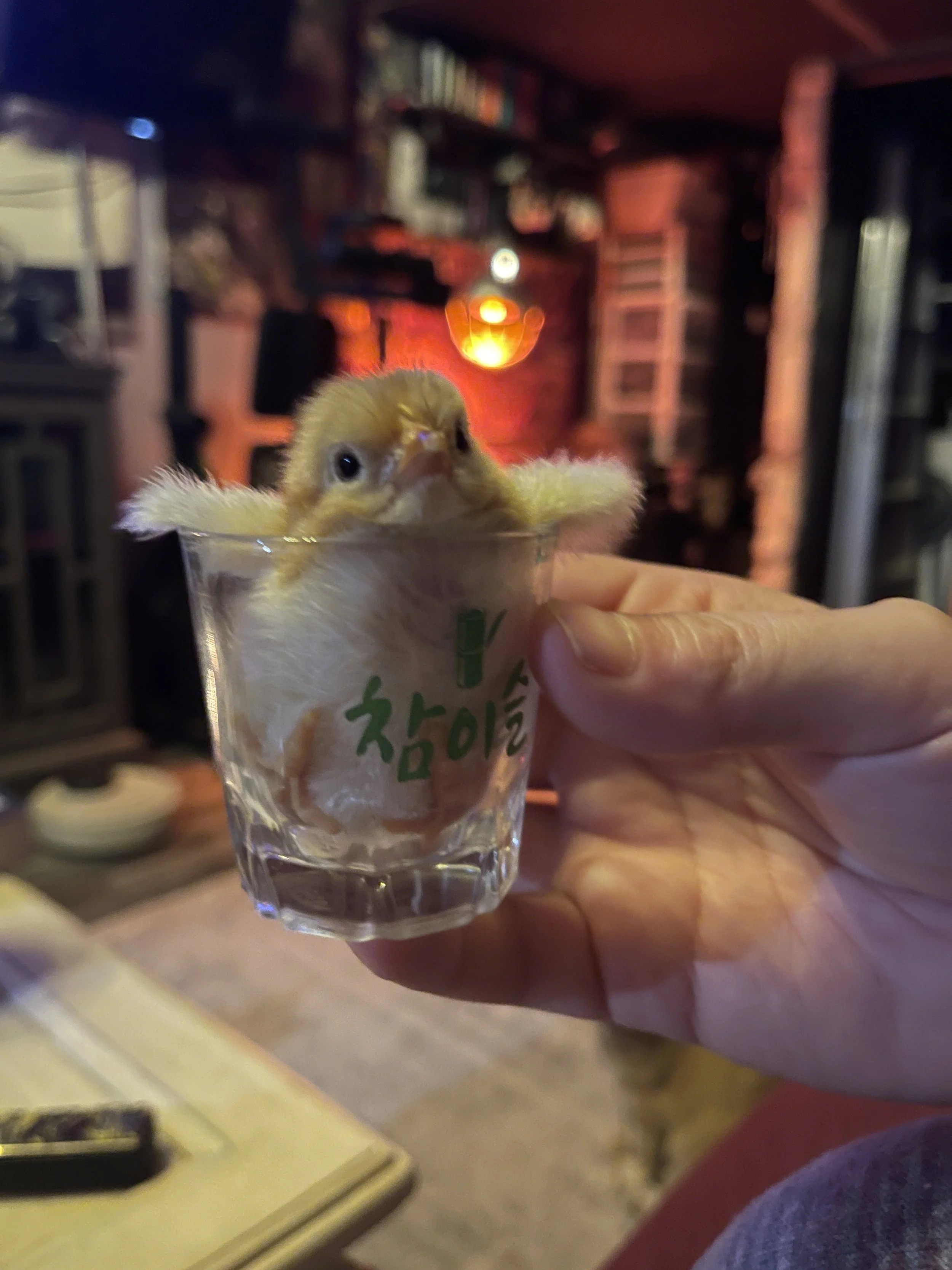 A small yellow chick peeking out of a clear plastic cup held by a person's hand.