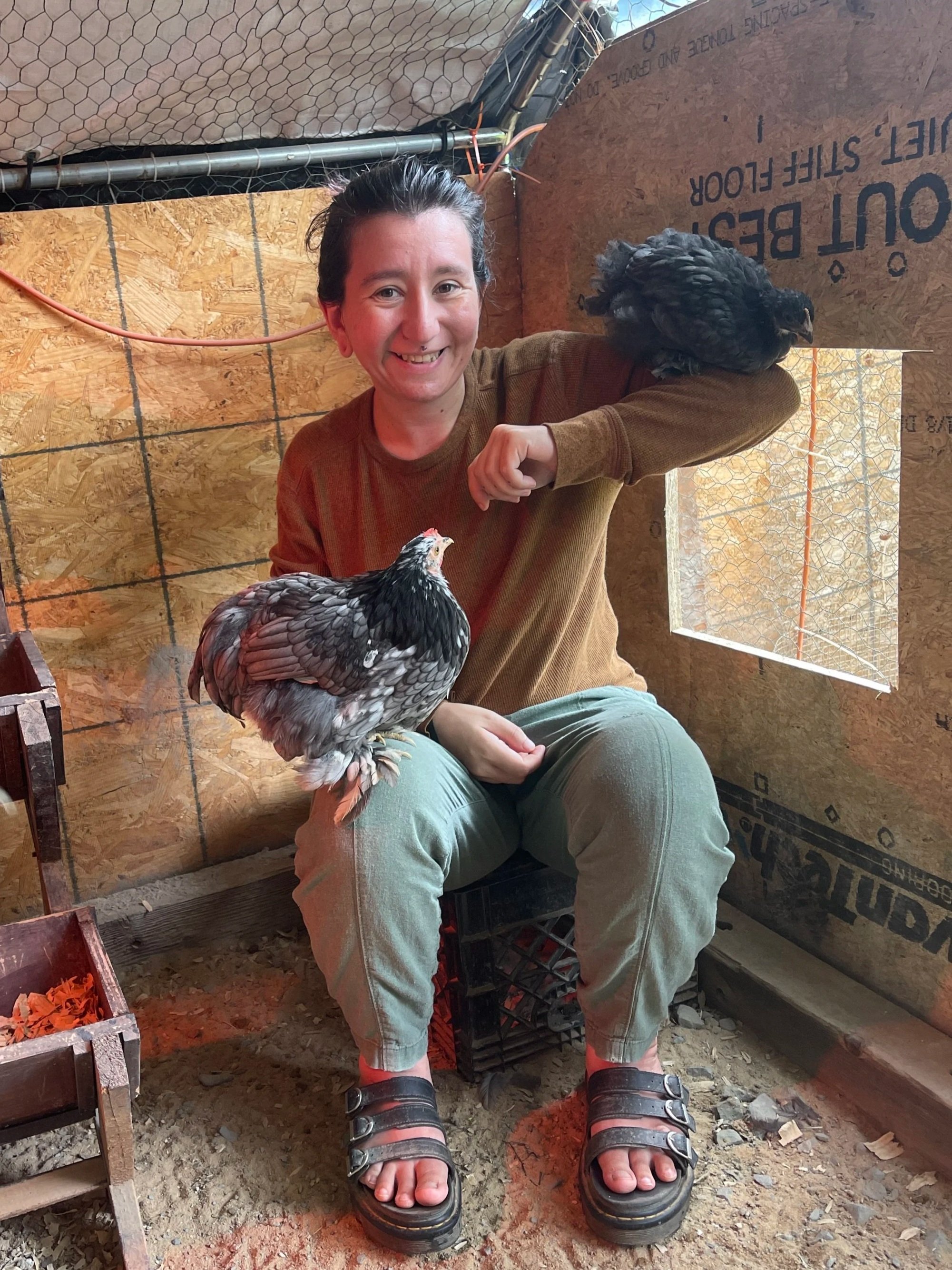 A person with short dark hair and a wide smile, sitting inside a wooden chicken coop, holding a black and gray chicken on their lap. The person wears a brown long-sleeve shirt, beige pants, and sandals. The small chicken has black feathers with gray and white patterns. The coop has wooden walls with chicken wire, and there are feed containers and bedding on the ground.