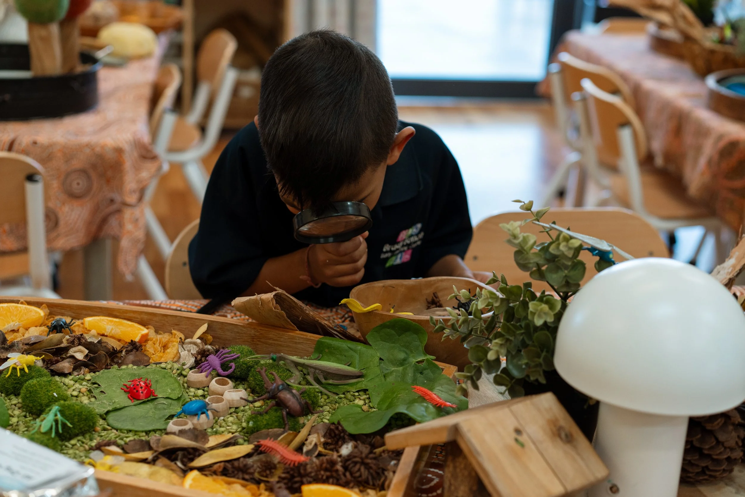 A young boy looking through a magnifying glass at a table with various natural objects and toy insects, in a room with wooden tables and chairs.