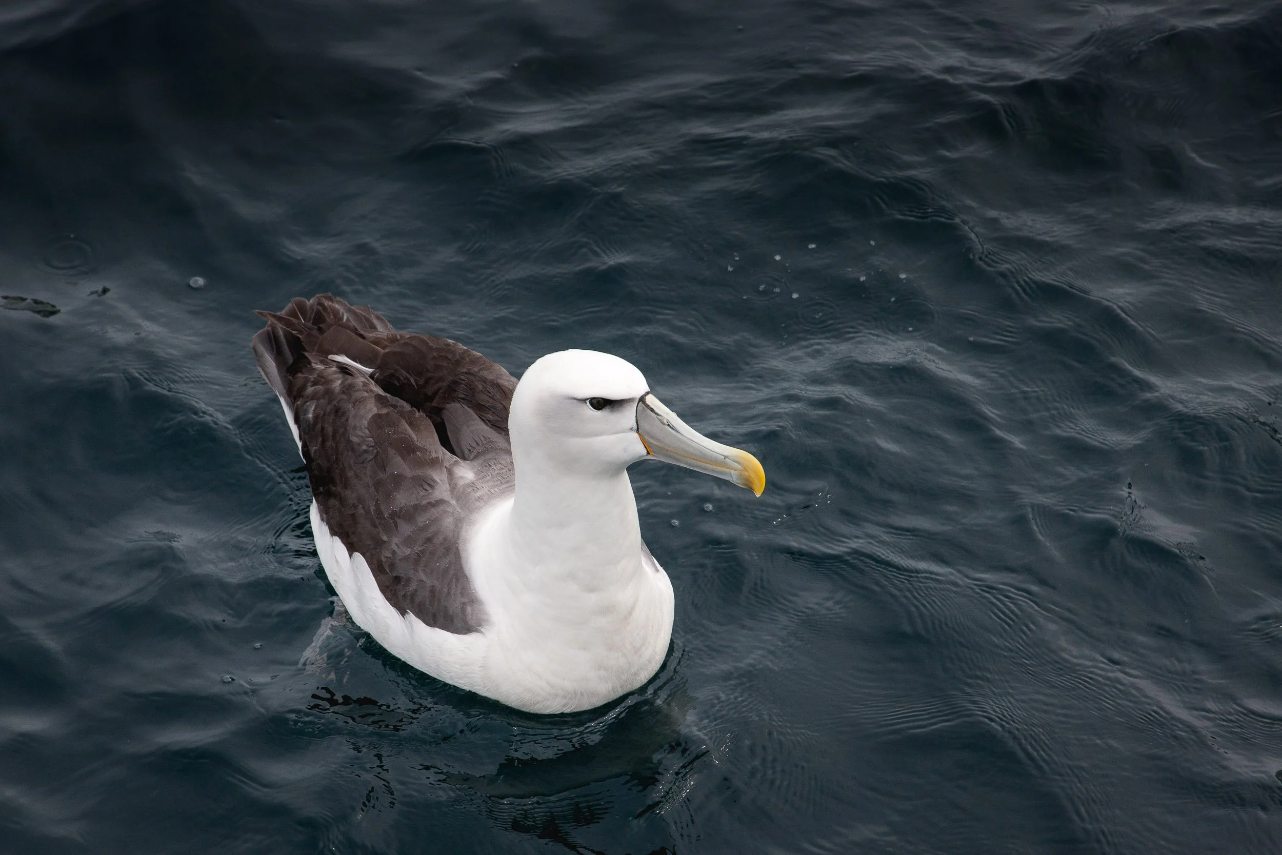 Berland_NZ_13_-336.jpg