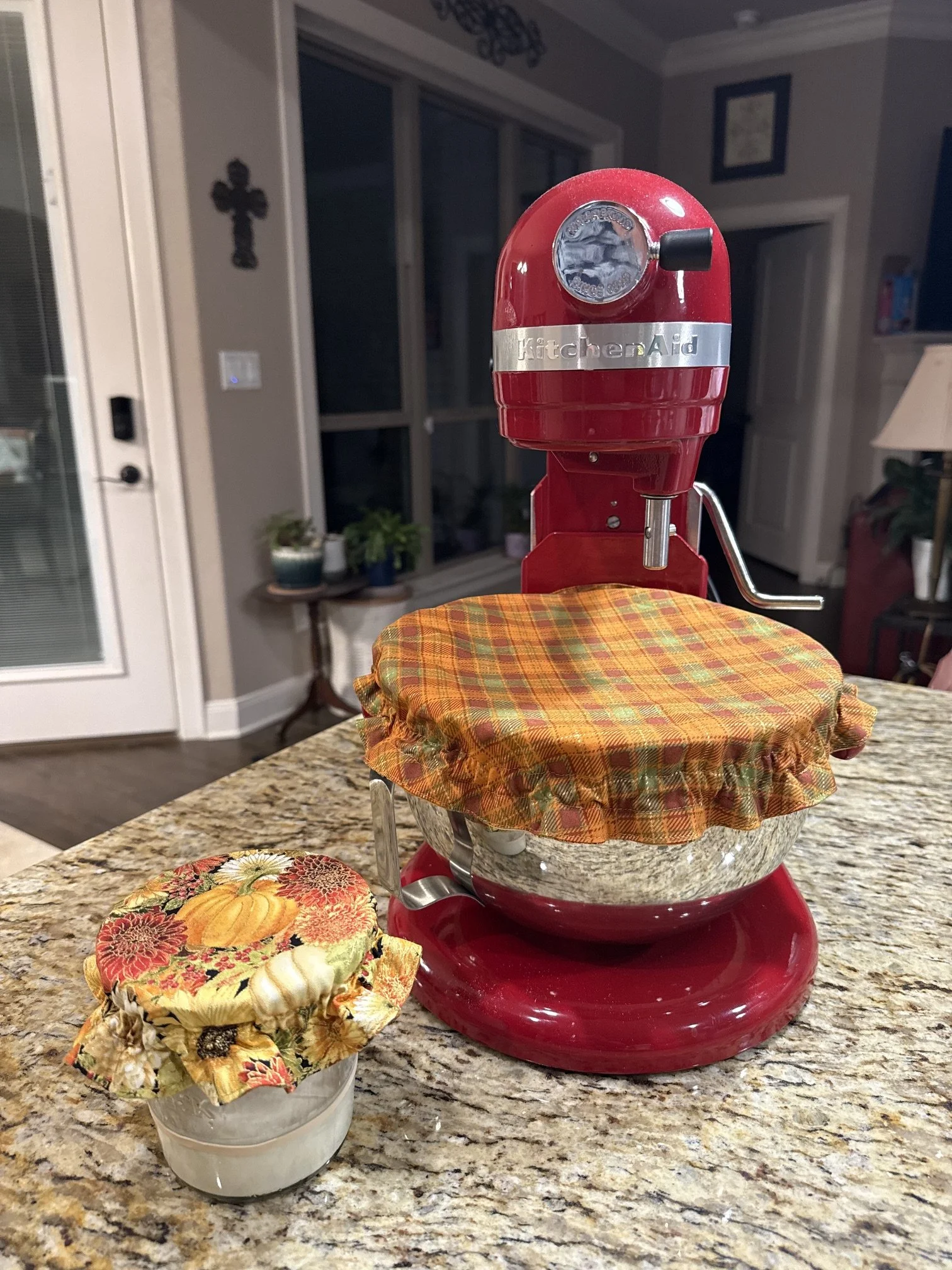 Reversible fabric Bowl Covers - Set of 2
