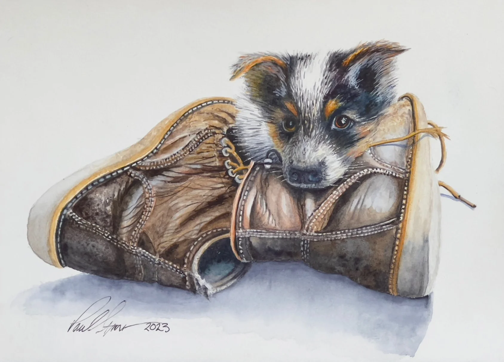 A detailed drawing of a mixed-breed puppy with black, white, and tan fur, resting its head on a worn, brown leather work boot.