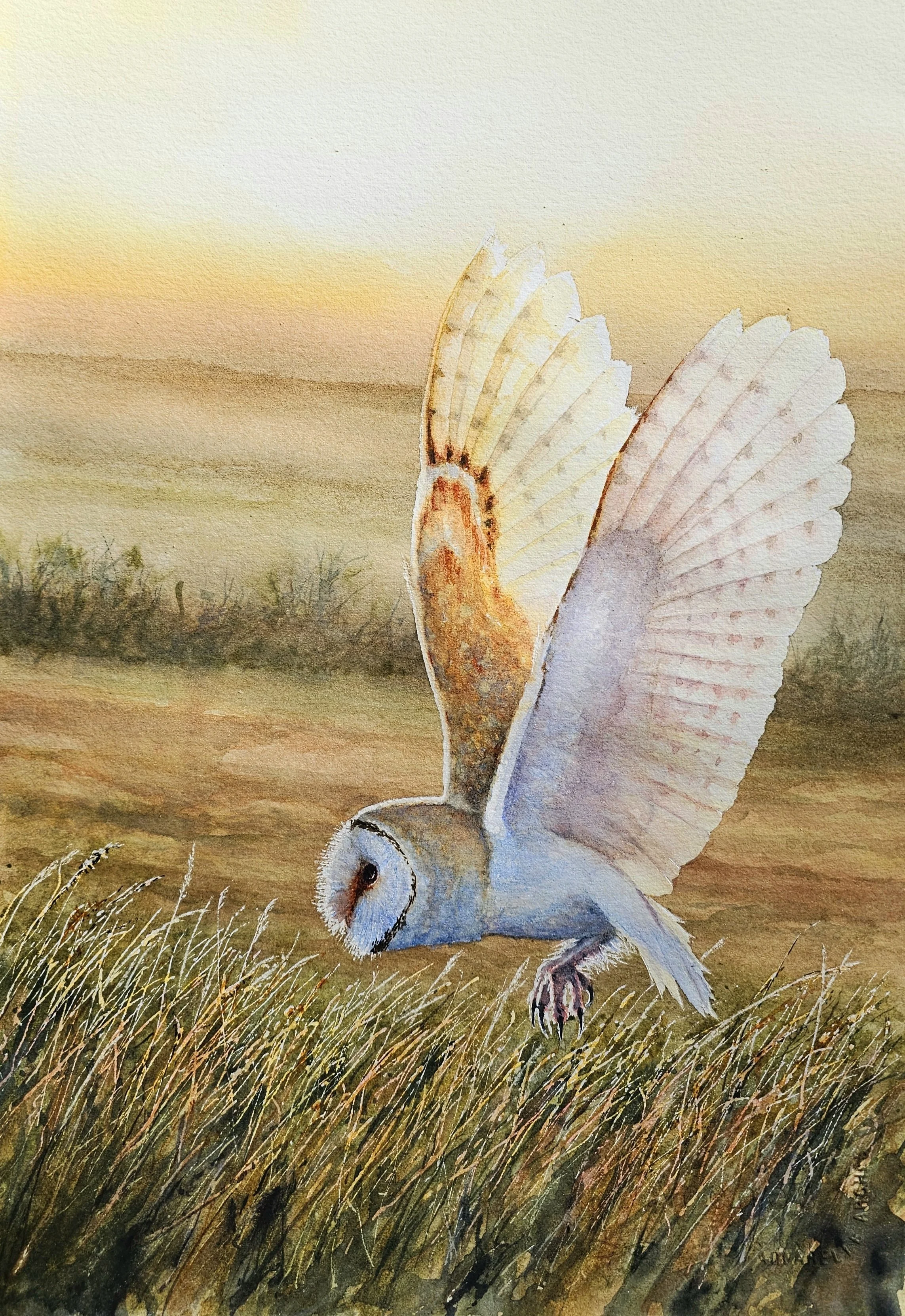 Watercolor painting of a barn owl flying low through tall grass during sunset with muted earthy tones and soft brushstrokes.