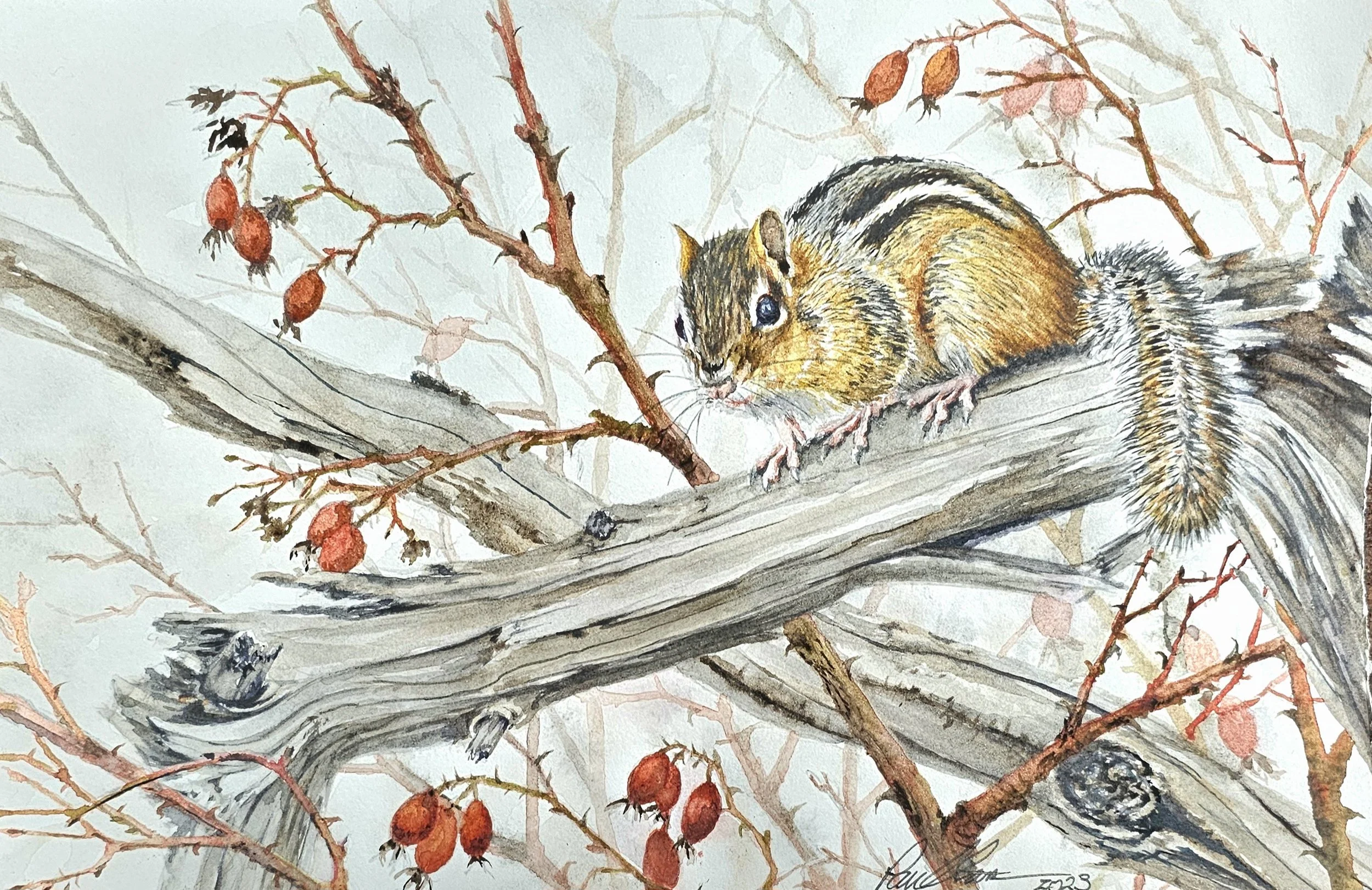 Watercolor painting of a squirrel on a tree branch with red berries and leafless branches.