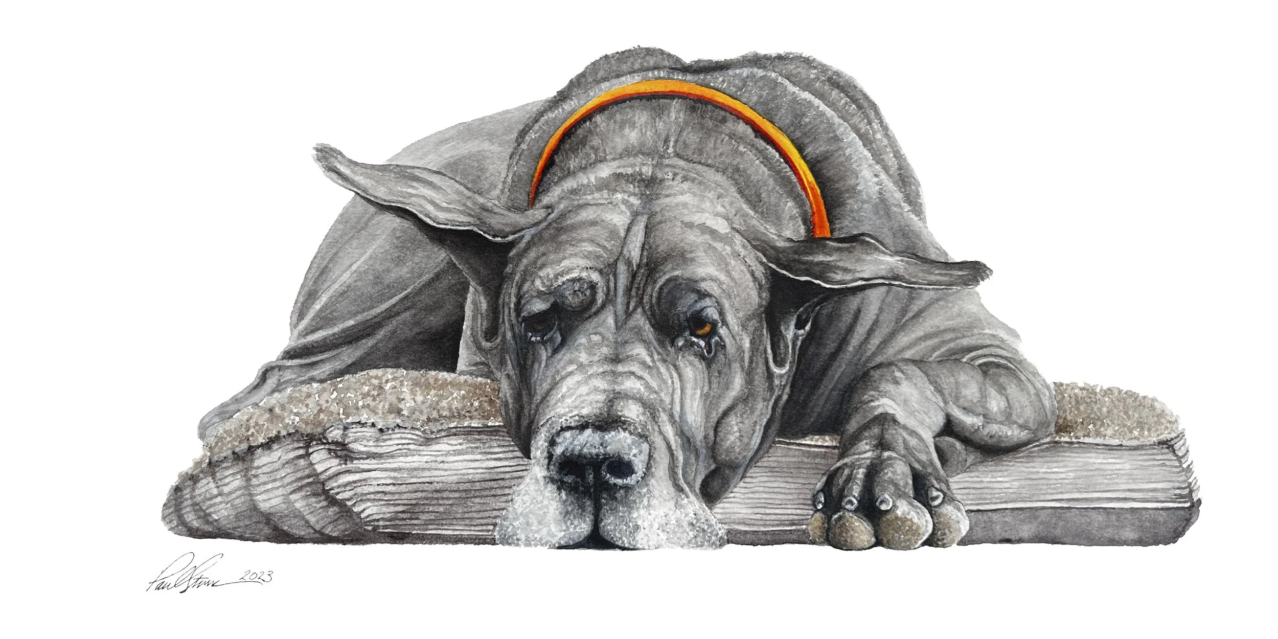 A painting of a realistic, gray dog with long ears, lying on a wooden surface with a small pebble in front of it. The dog appears to be resting with its head down and eyes partially closed, beneath a rainbow painted on its back.