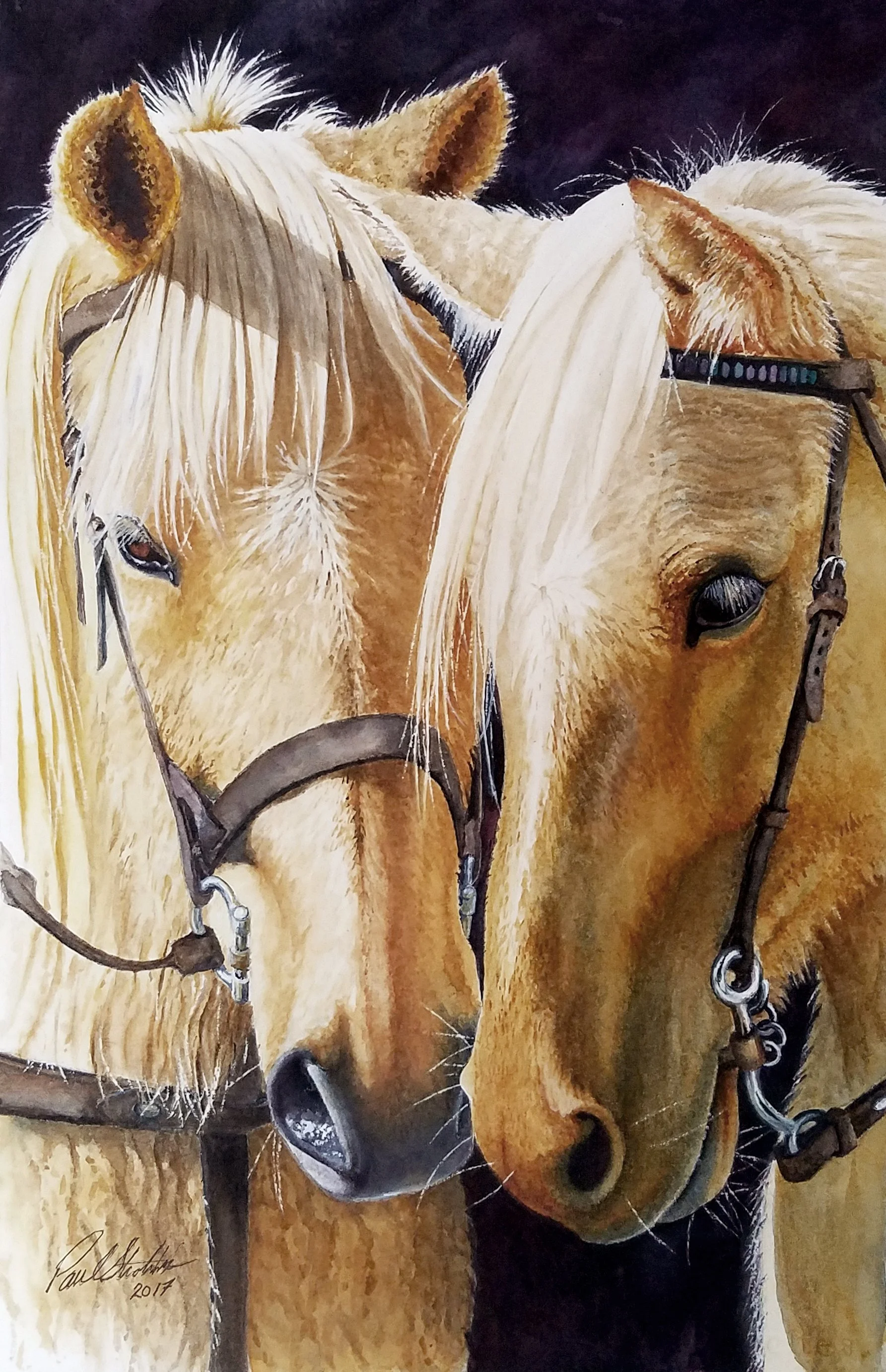 Close-up of two horses' heads, showing detailed features like eyes, noses, and bridle straps, against a dark background.