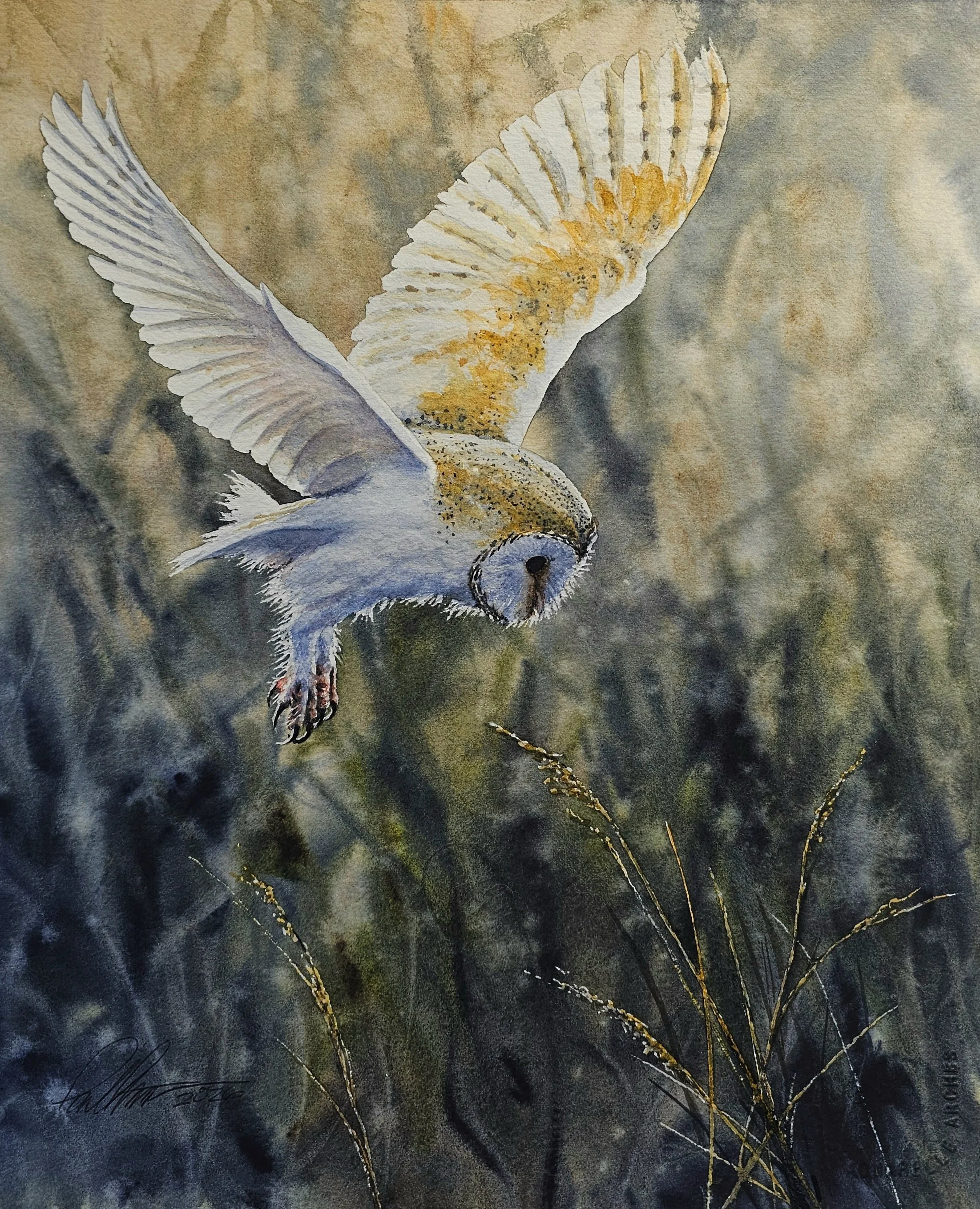 A watercolor painting of a barn owl in mid-flight with wings spread, flying over tall grasses against a blurred background.