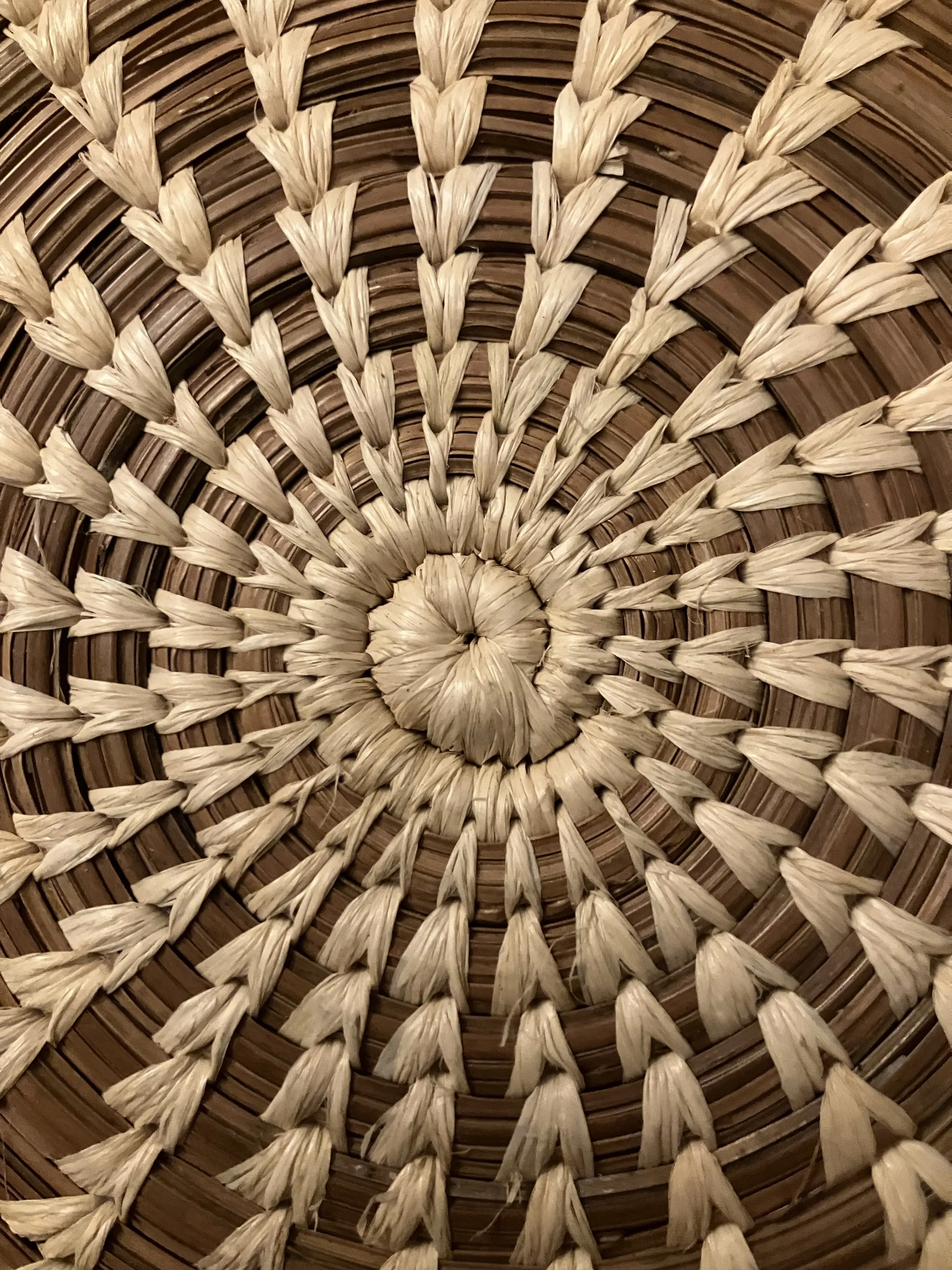 Intro to pine needle basketry 