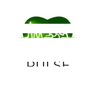 Pulse Fitness Team