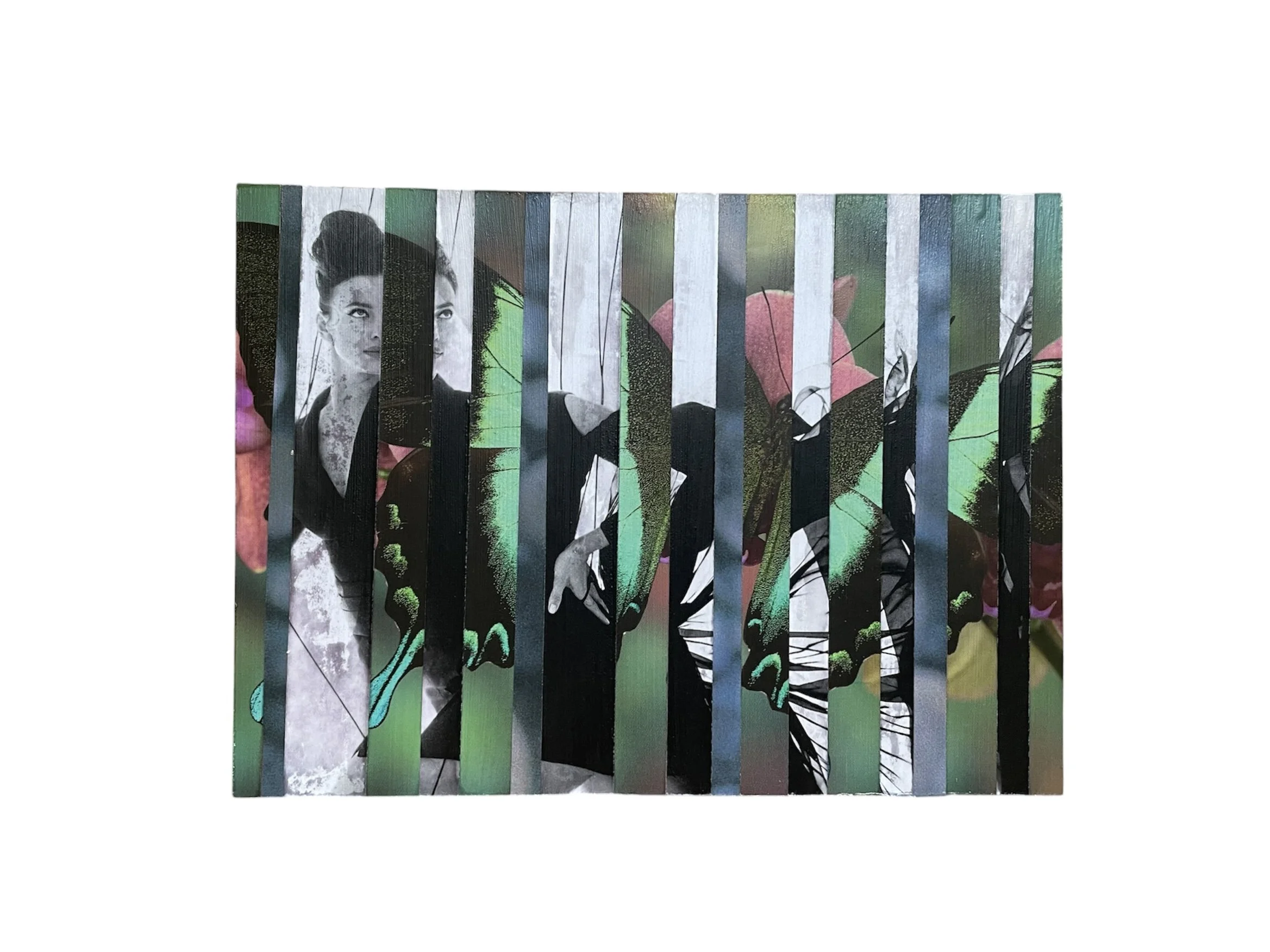 "papillon" collage on mdf board 6 x 8" 2026
