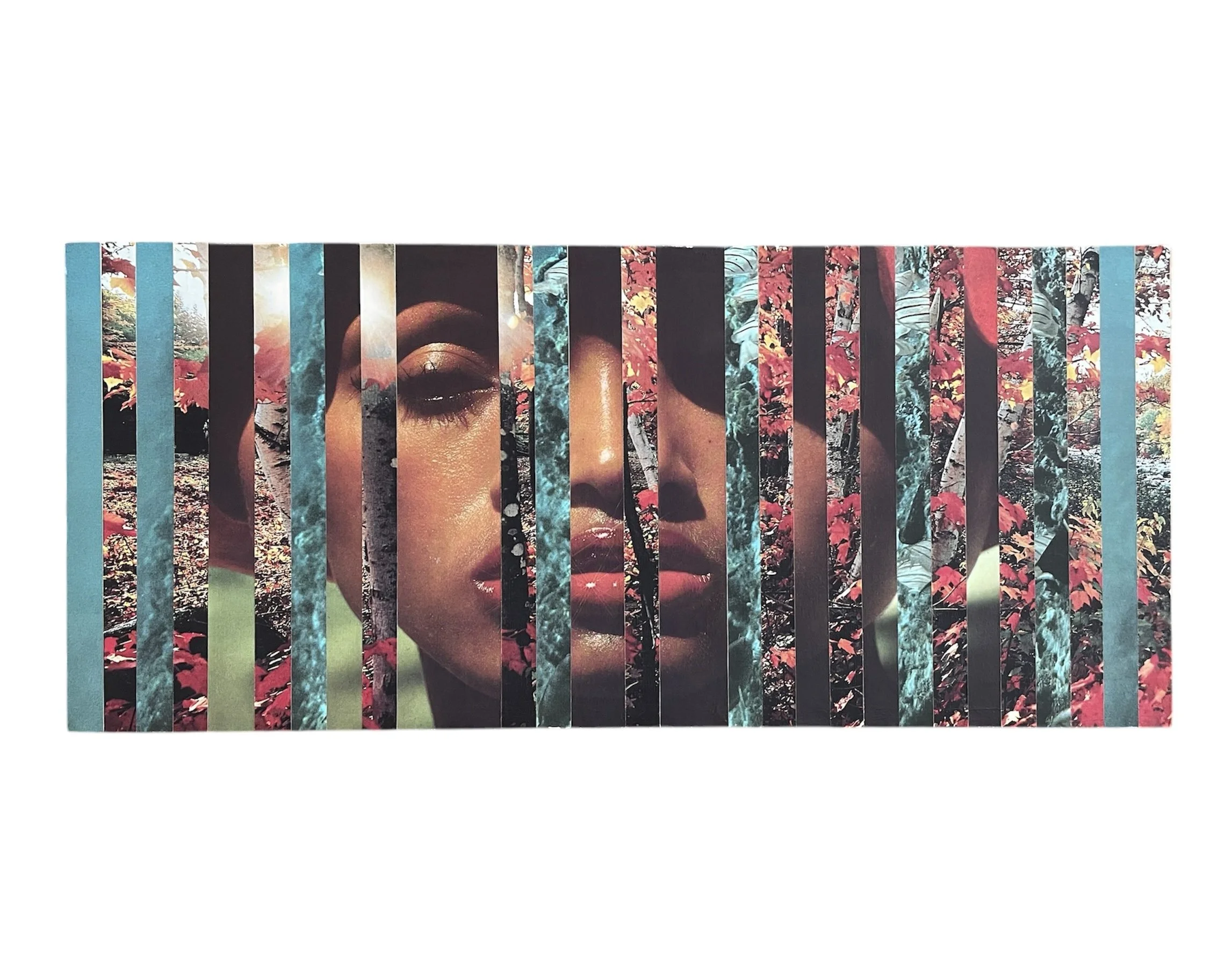 "change is coming" collage on mdf board 7 x 16" 2024
