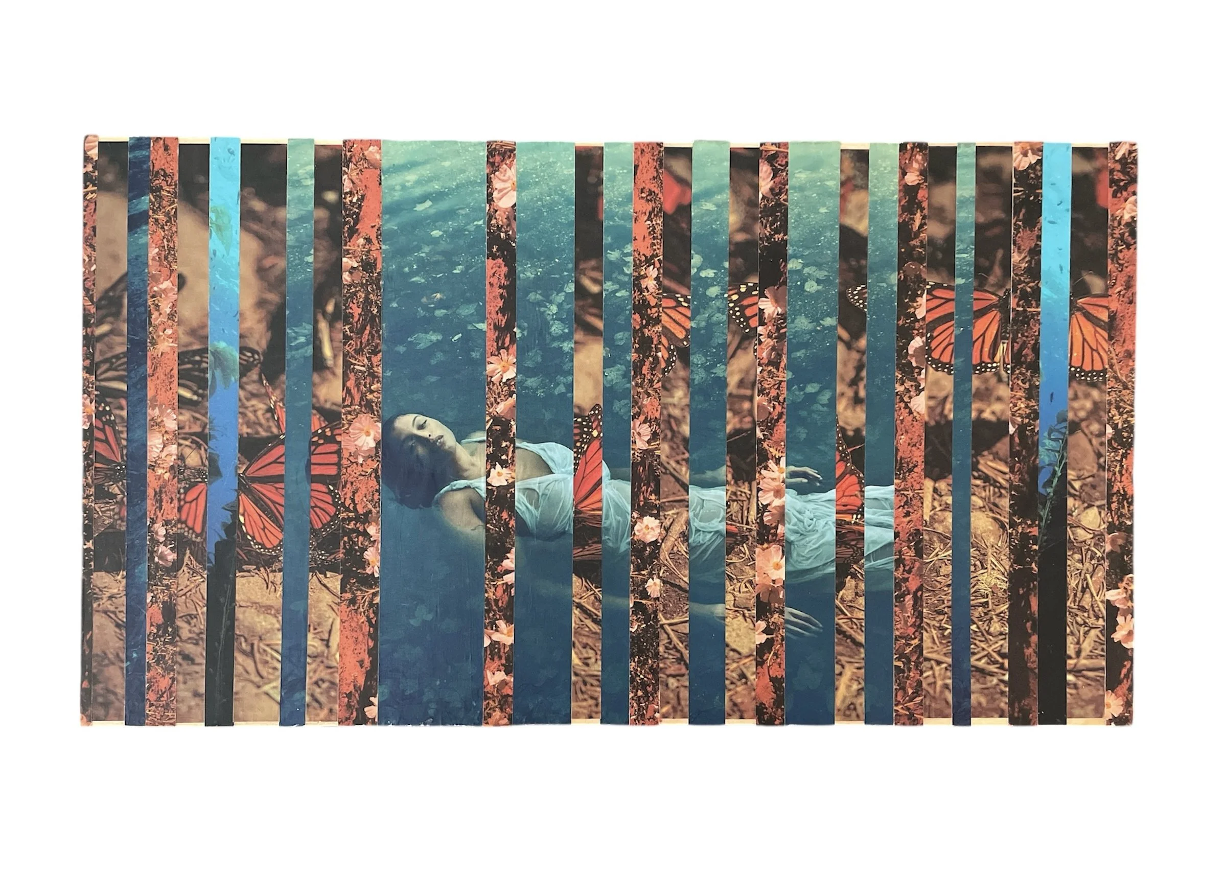 "metamorphosis" collage on wood 10 x 18" 2025