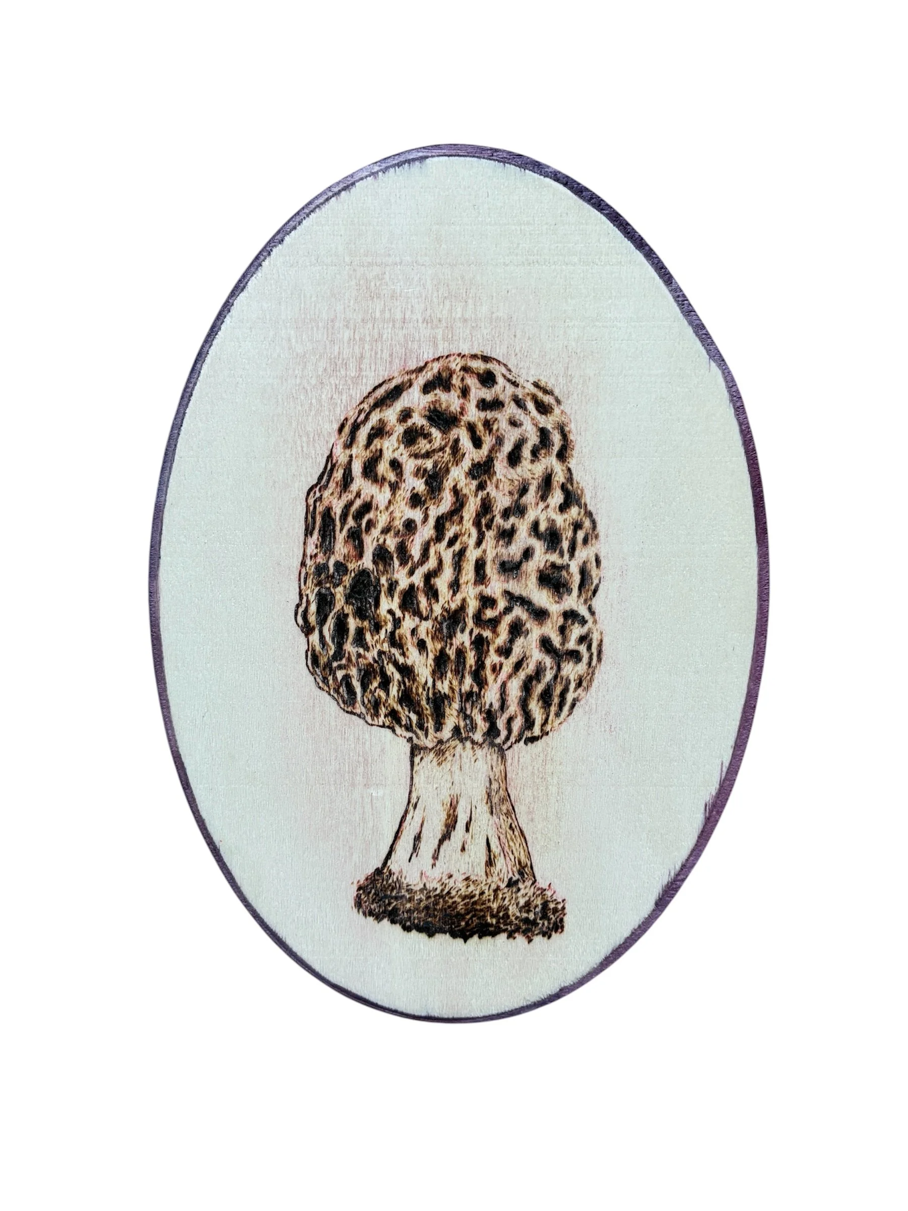 morel