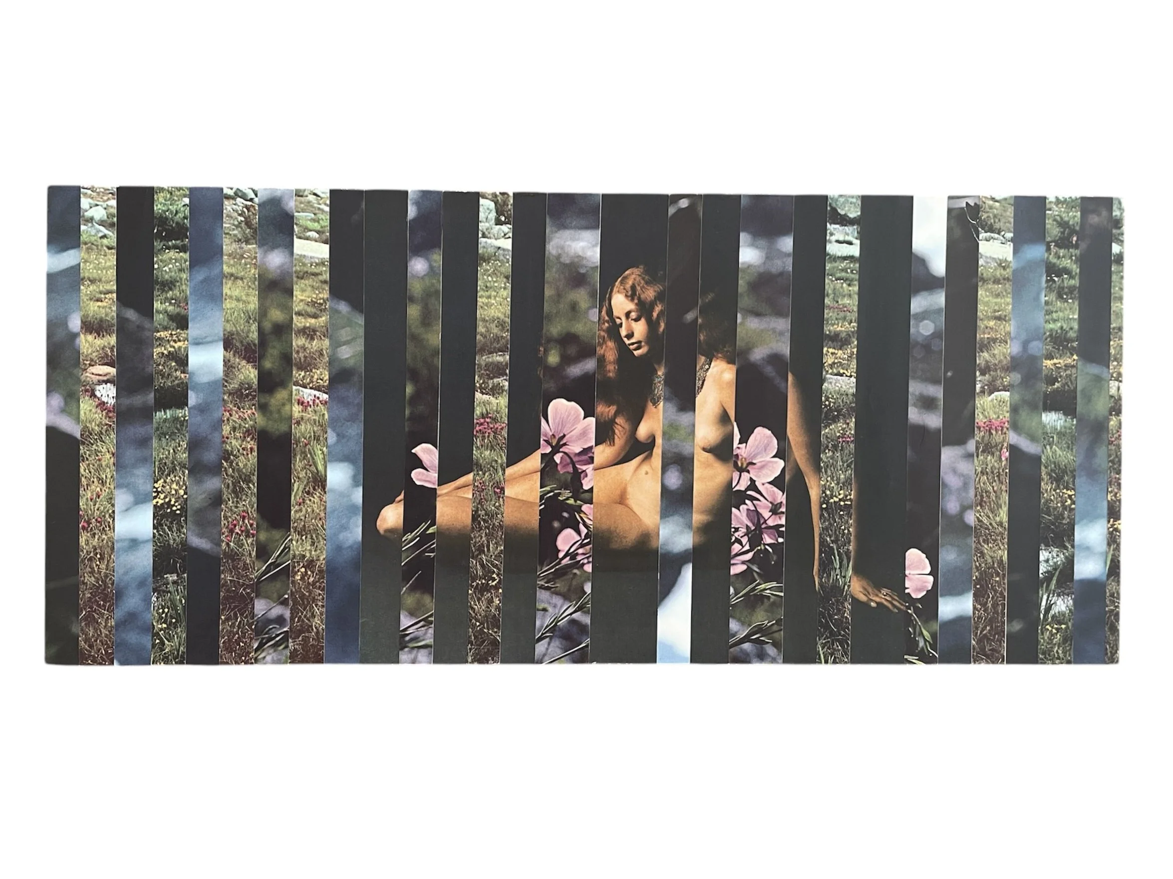 "find me in the field" collage on mdf board 7 x 16" 2024