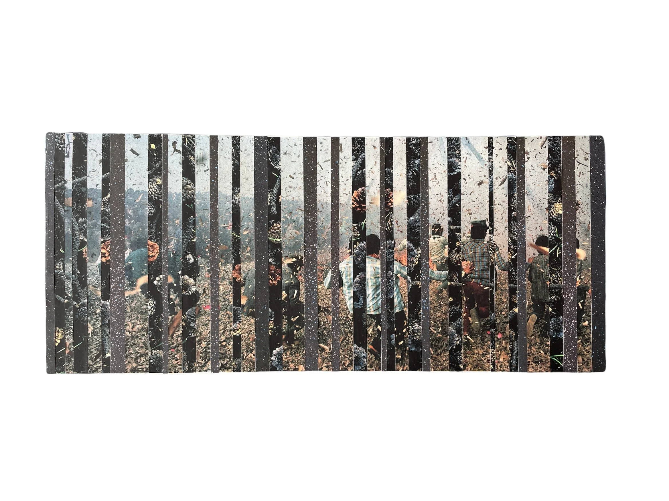 "autumnal" collage 20 x 8.5" 2022