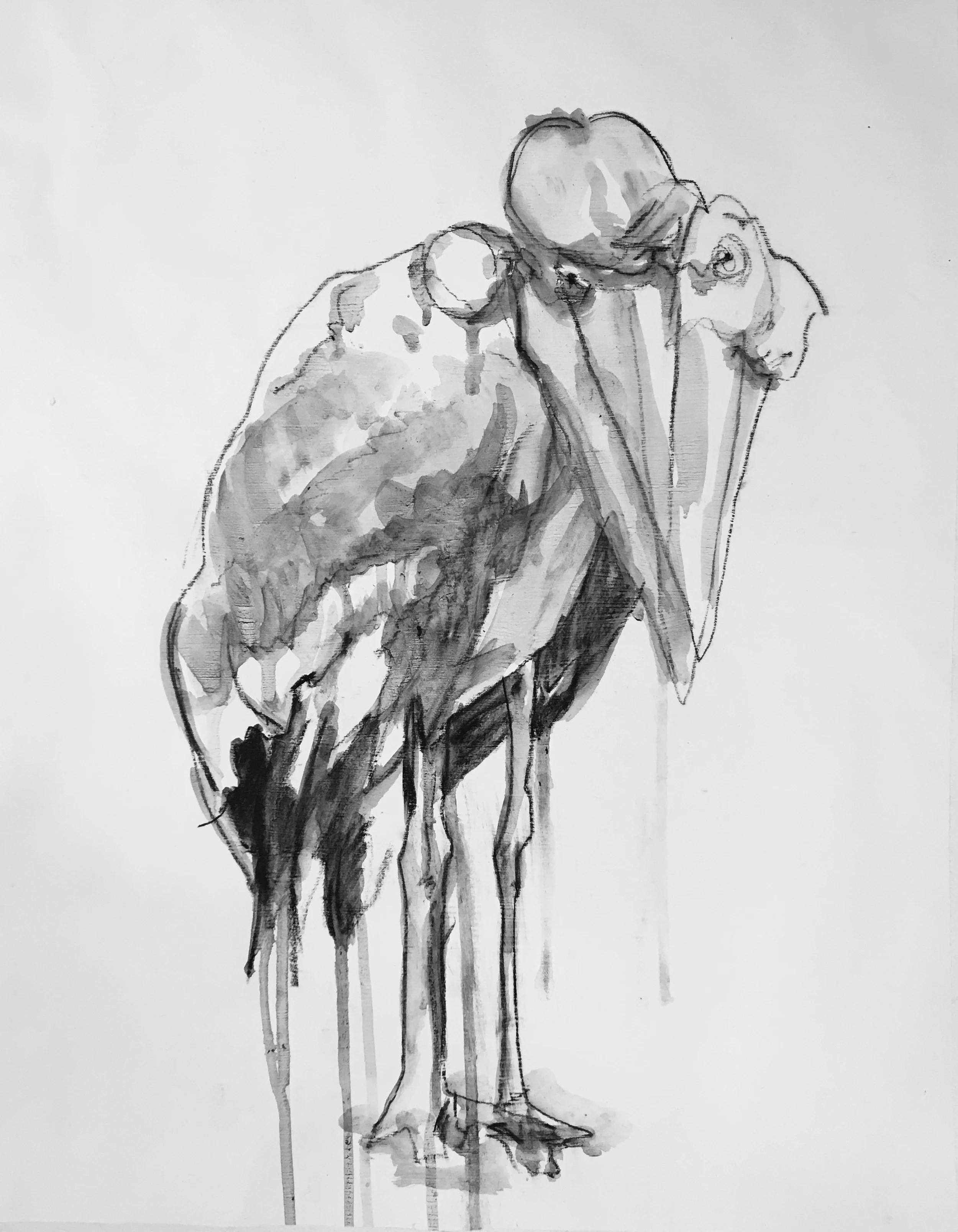 "Bird brain"
charcoal wash on gesso paper 2019