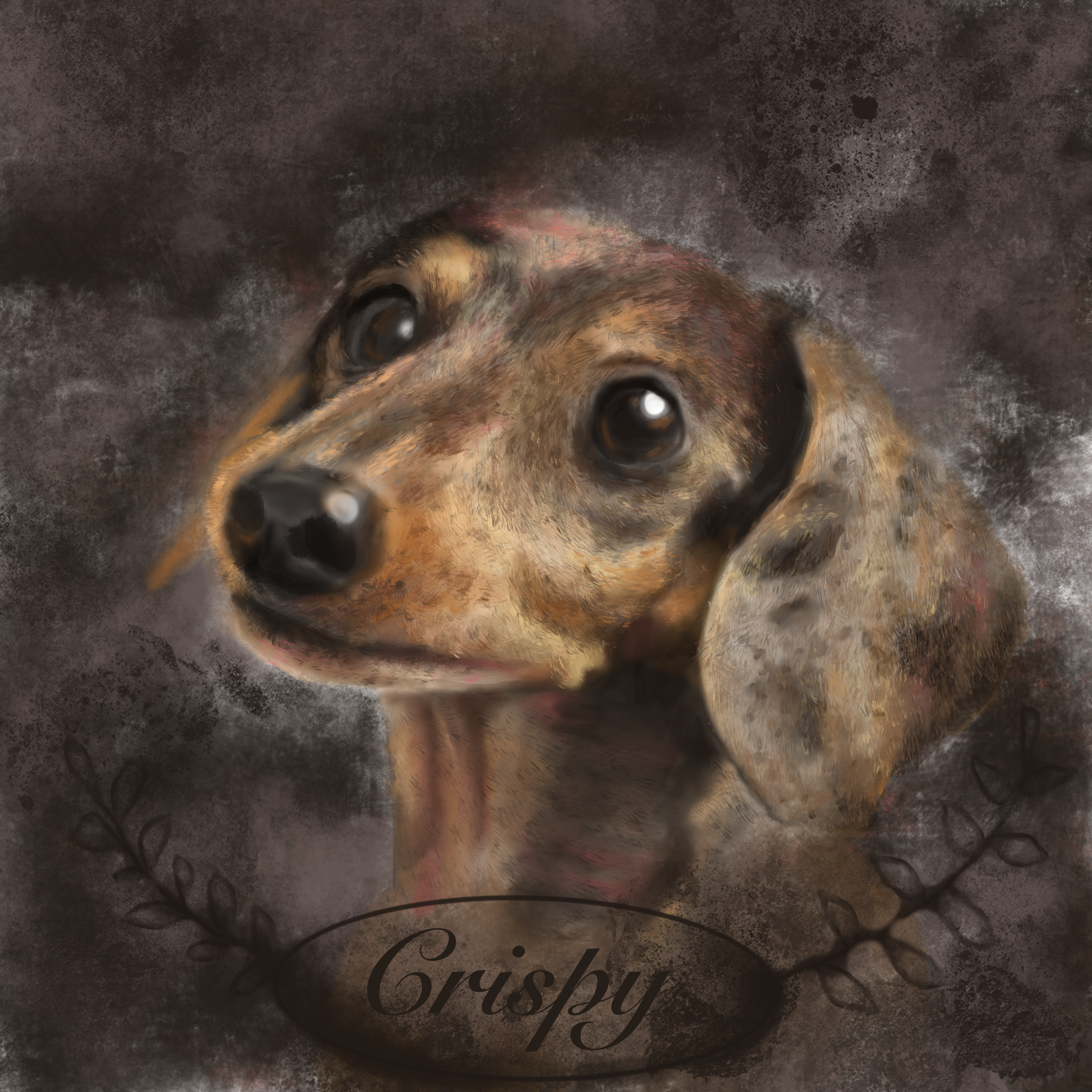 "Crispy" digital illustration (procreate) 2022