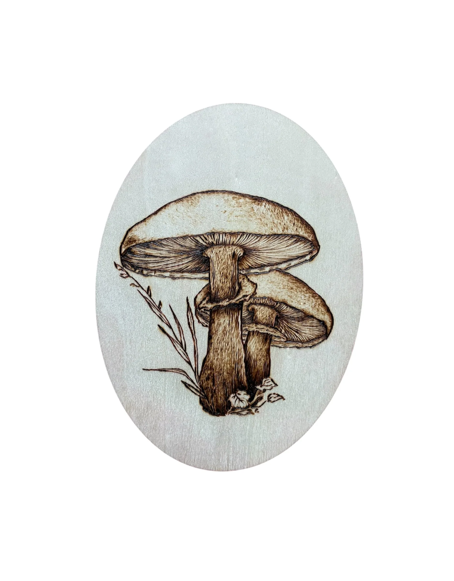 Mushrooms
2026