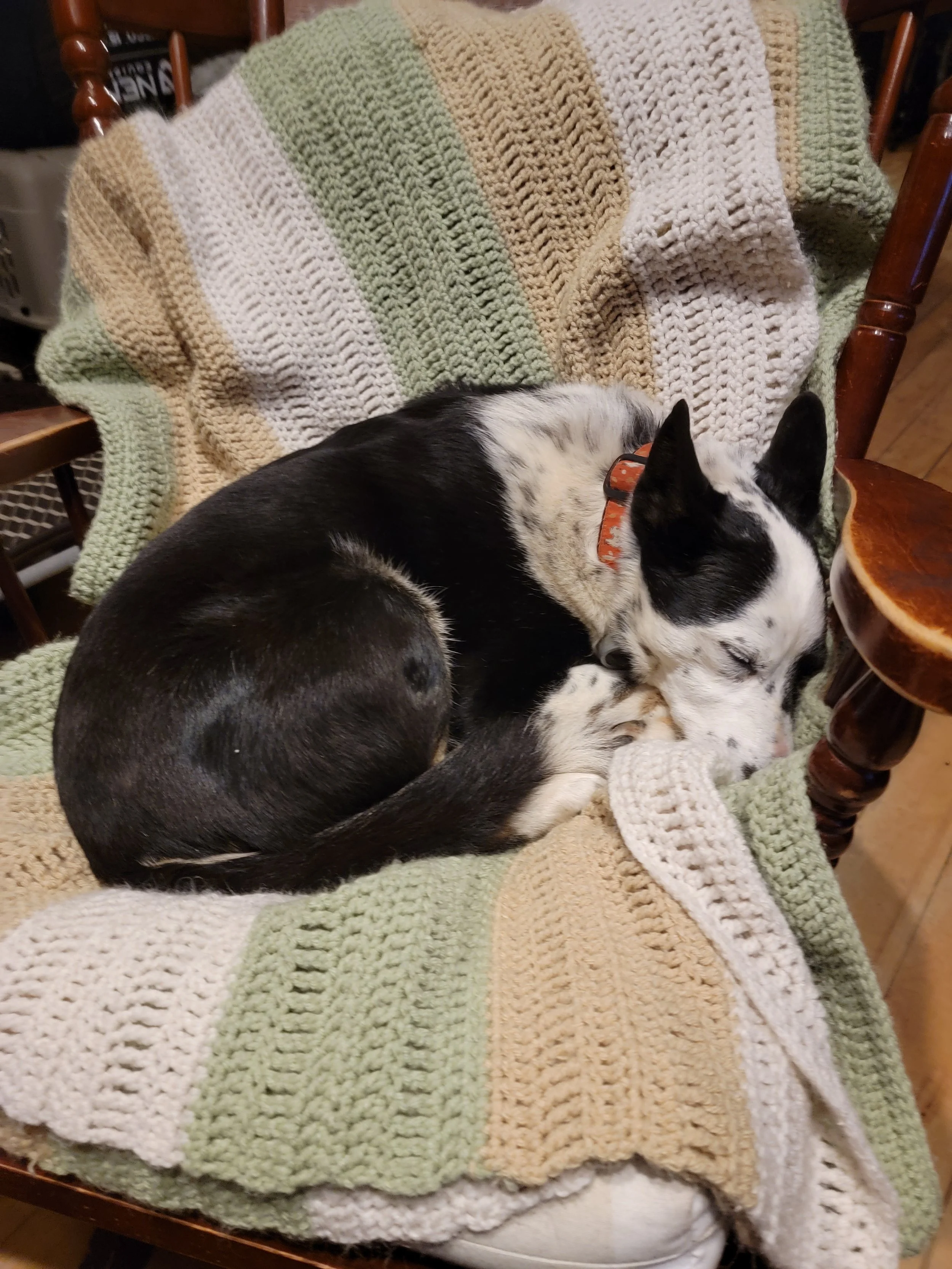 Schatzi
